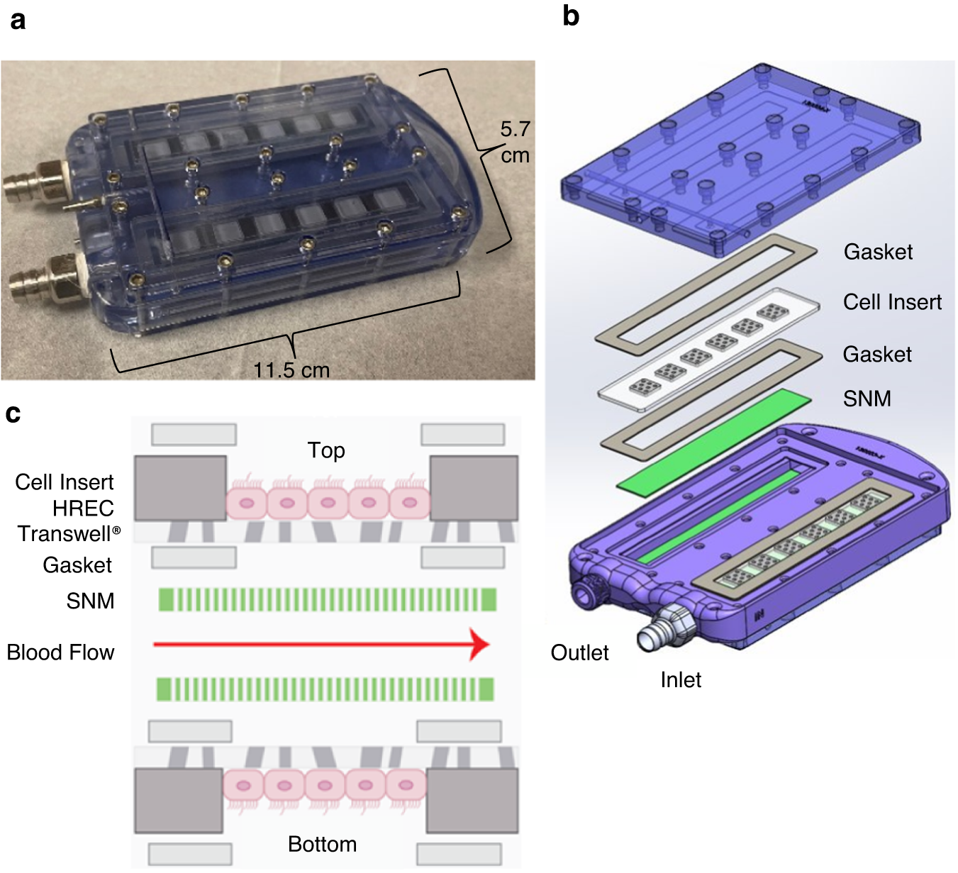 Fig. 3: Bioreactor design with constituent components.