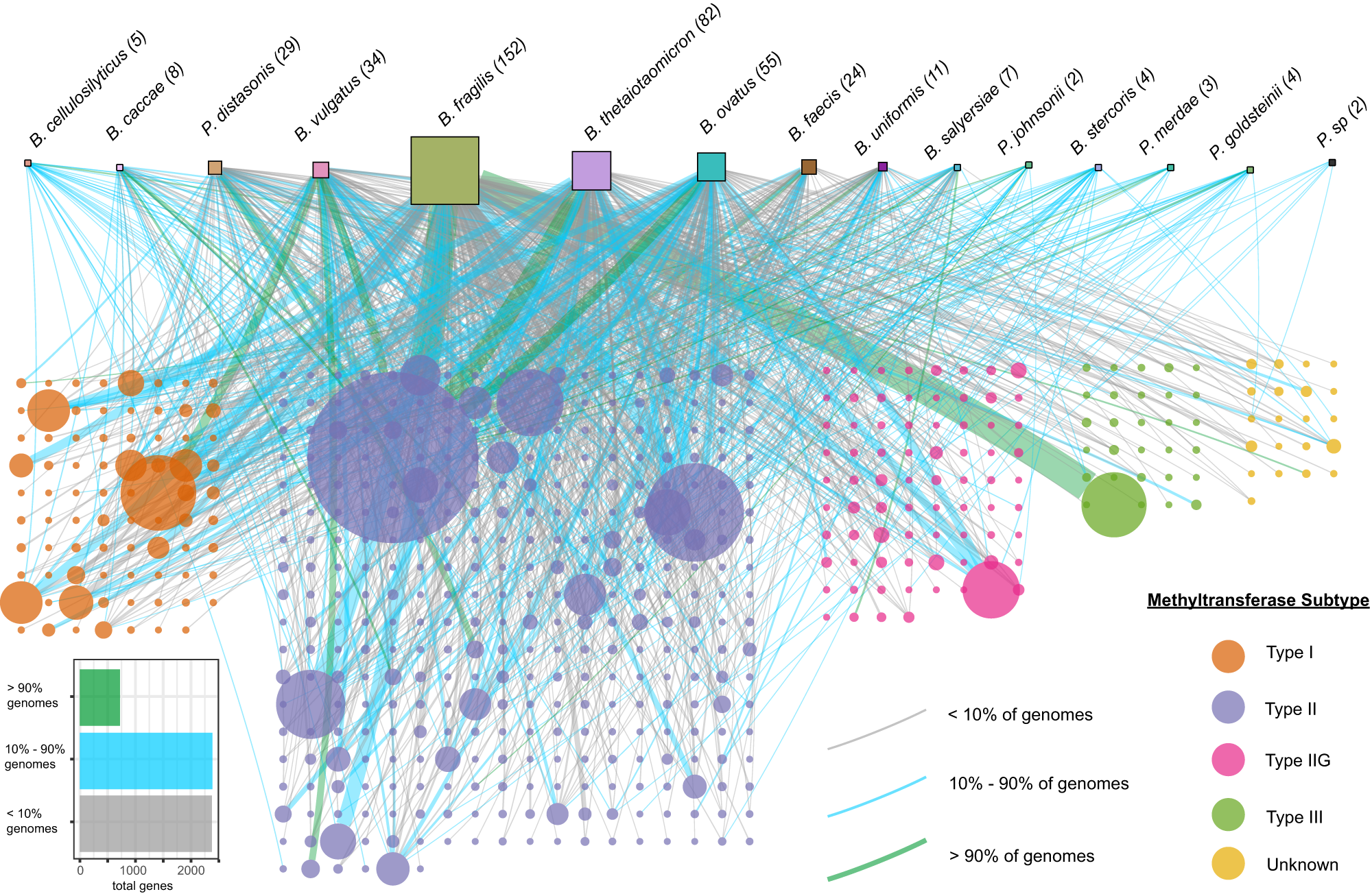 Fig. 3: DNA methyltransferases are remarkably diverse and abundant in the accessory genomes of BFG species.