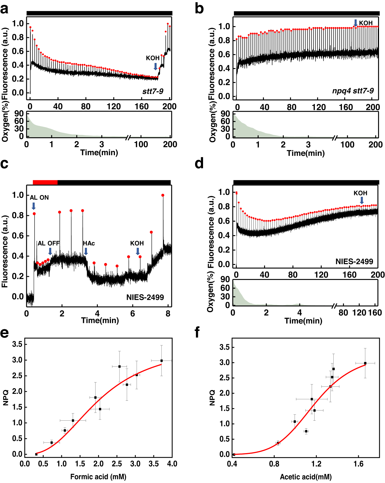 Fig. 1: Probing lumen acidification using NPQ during anaerobic treatment.