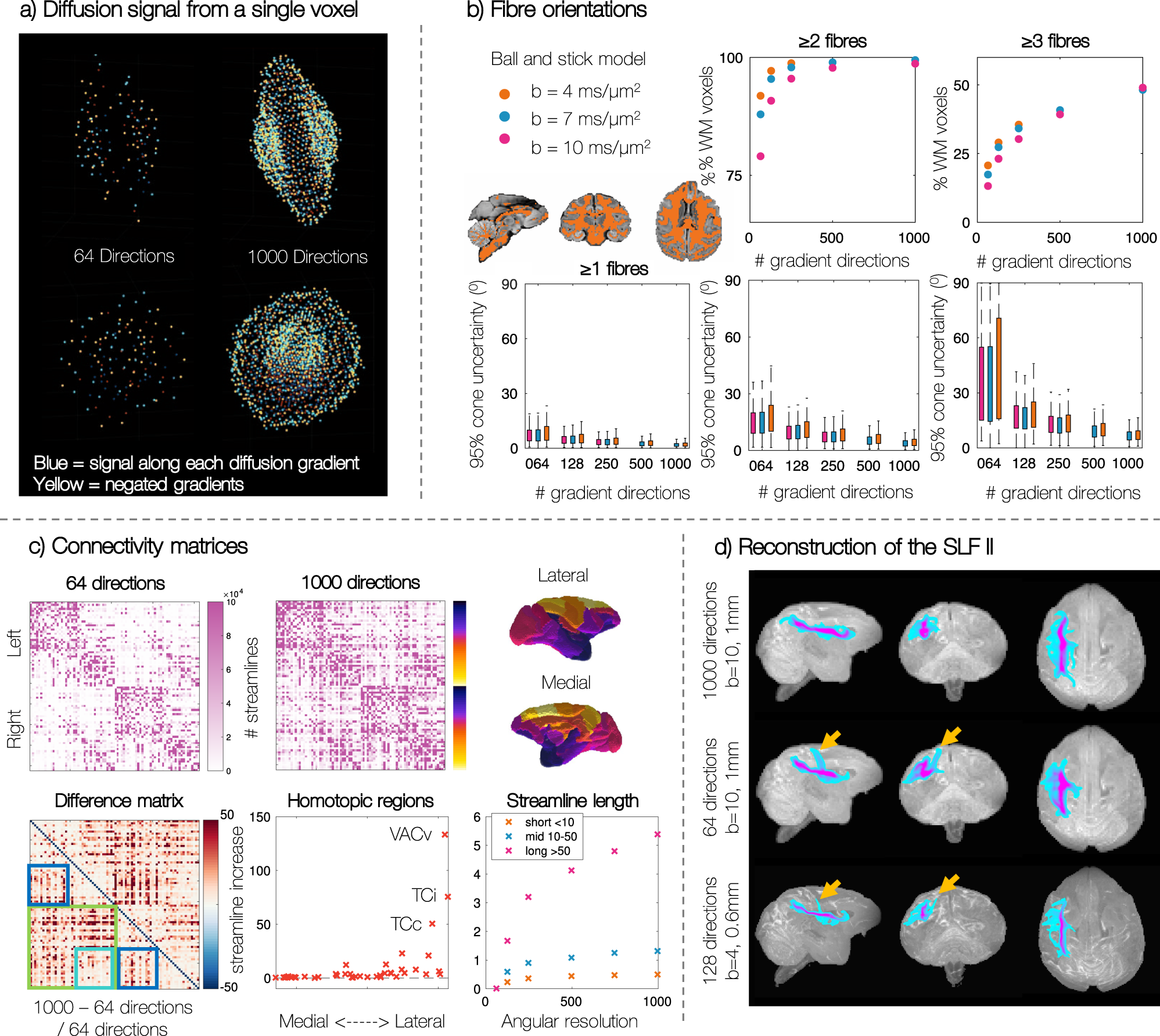 Fig. 2: Ultra-high angular resolution postmortem diffusion MRI allows us to (a) characterise the diffusion signal in great detail, (b) find more tertiary populations and estimate fibre orientations with increased precision, (c) reconstruct longer streamlines and increase inter-hemispheric connectivity, particularly to the occipital and temporal lobe, and (d) reconstruct the SLF II with increased confidence.