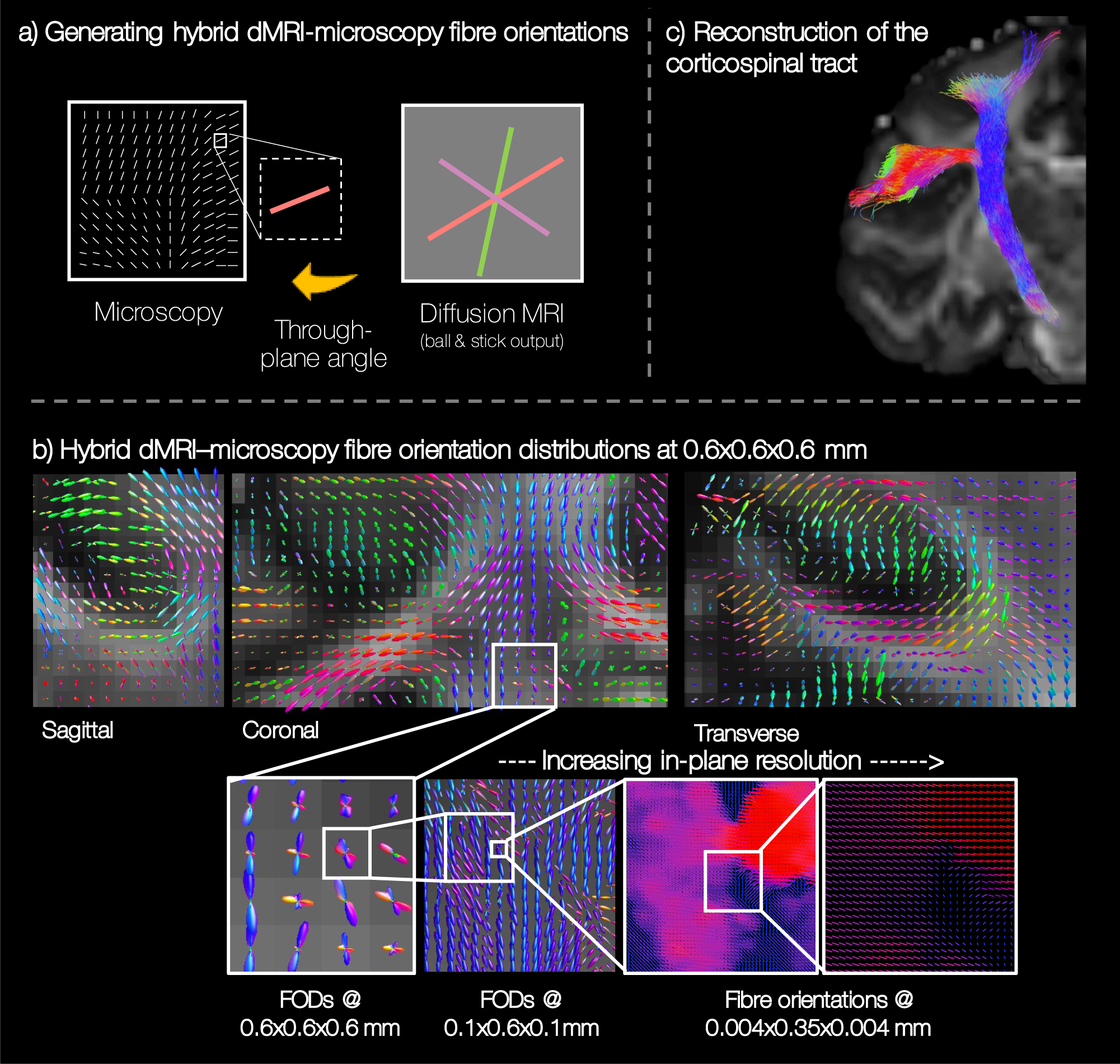 Fig. 7: Estimating hybrid diffusion MRI-PLI fibre orientations for future reconstruction of the microscopy-inspired connectome (see text for details).