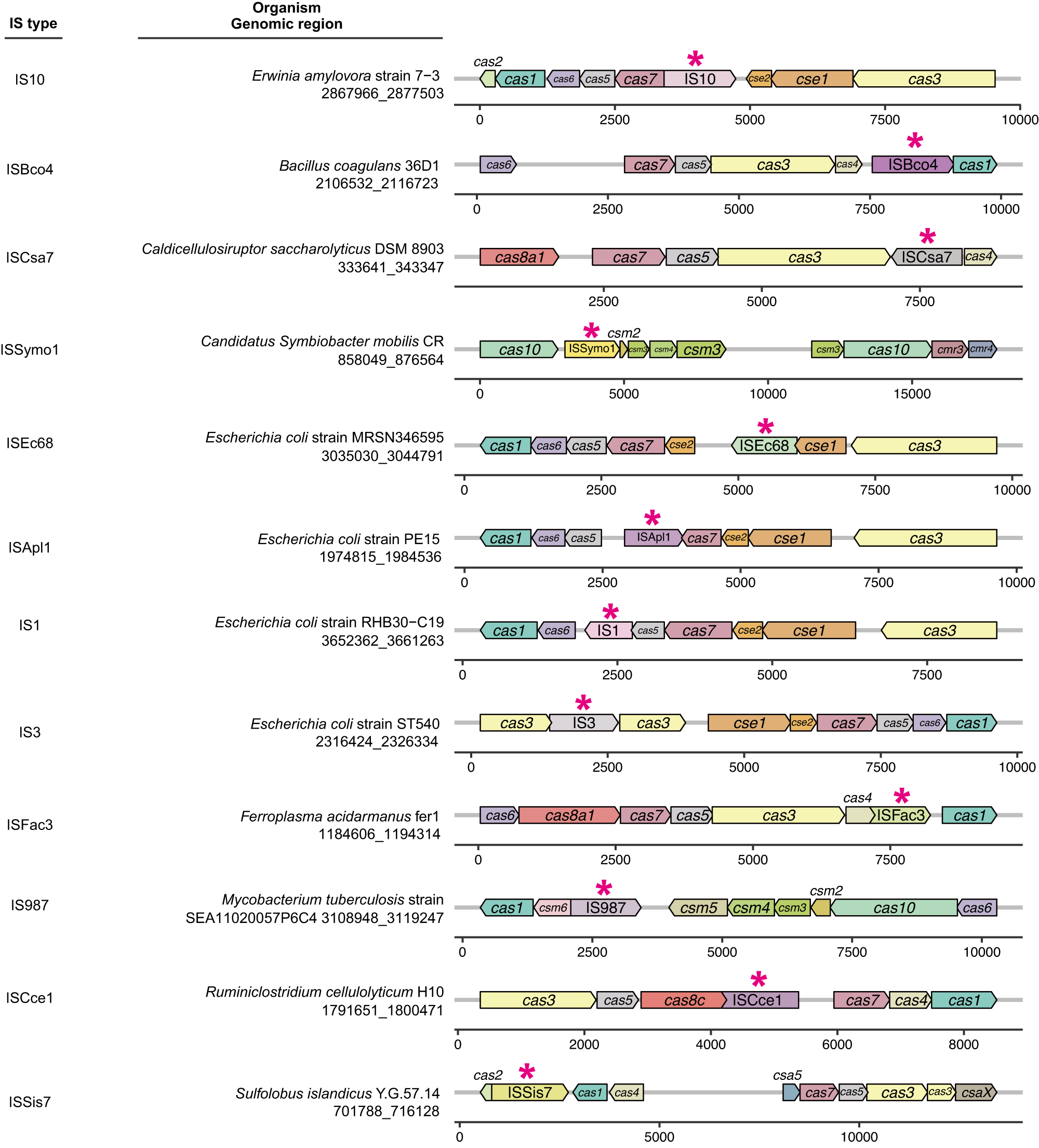 Orientation of flanking sequences neighboring to insertions in long reads