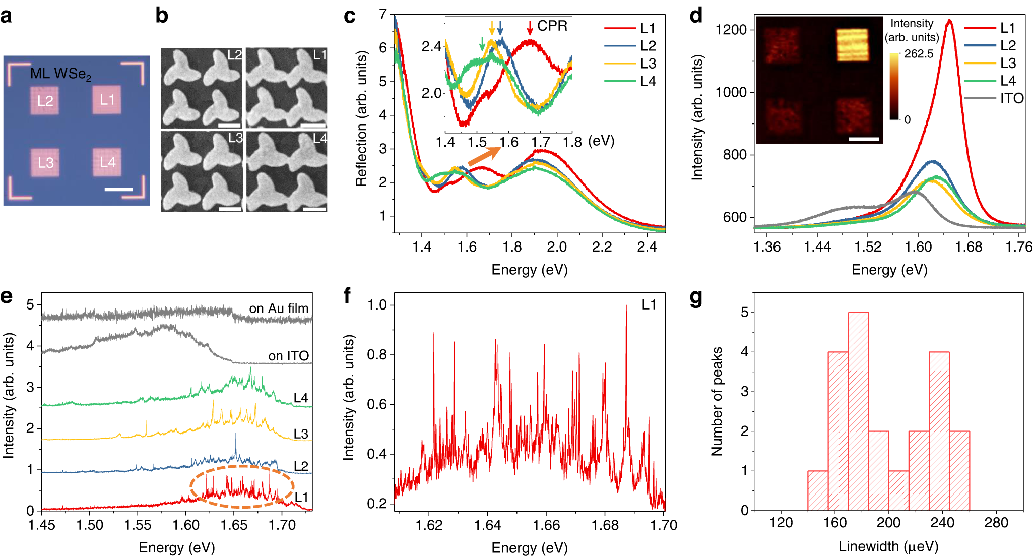 Fig. 2: Coupling between chiral plasmon resonance and single quantum emitters.