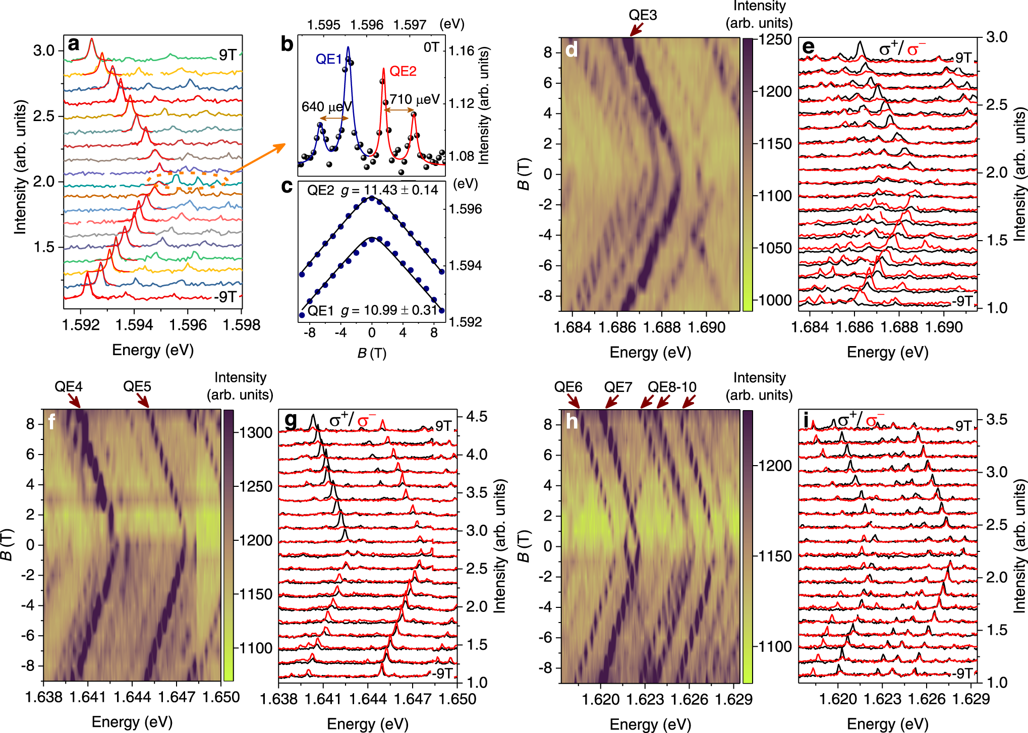 Fig. 3: Polarization-resolved PL from QEs at L1 as a function of applied magnetic field (Faraday geometry).