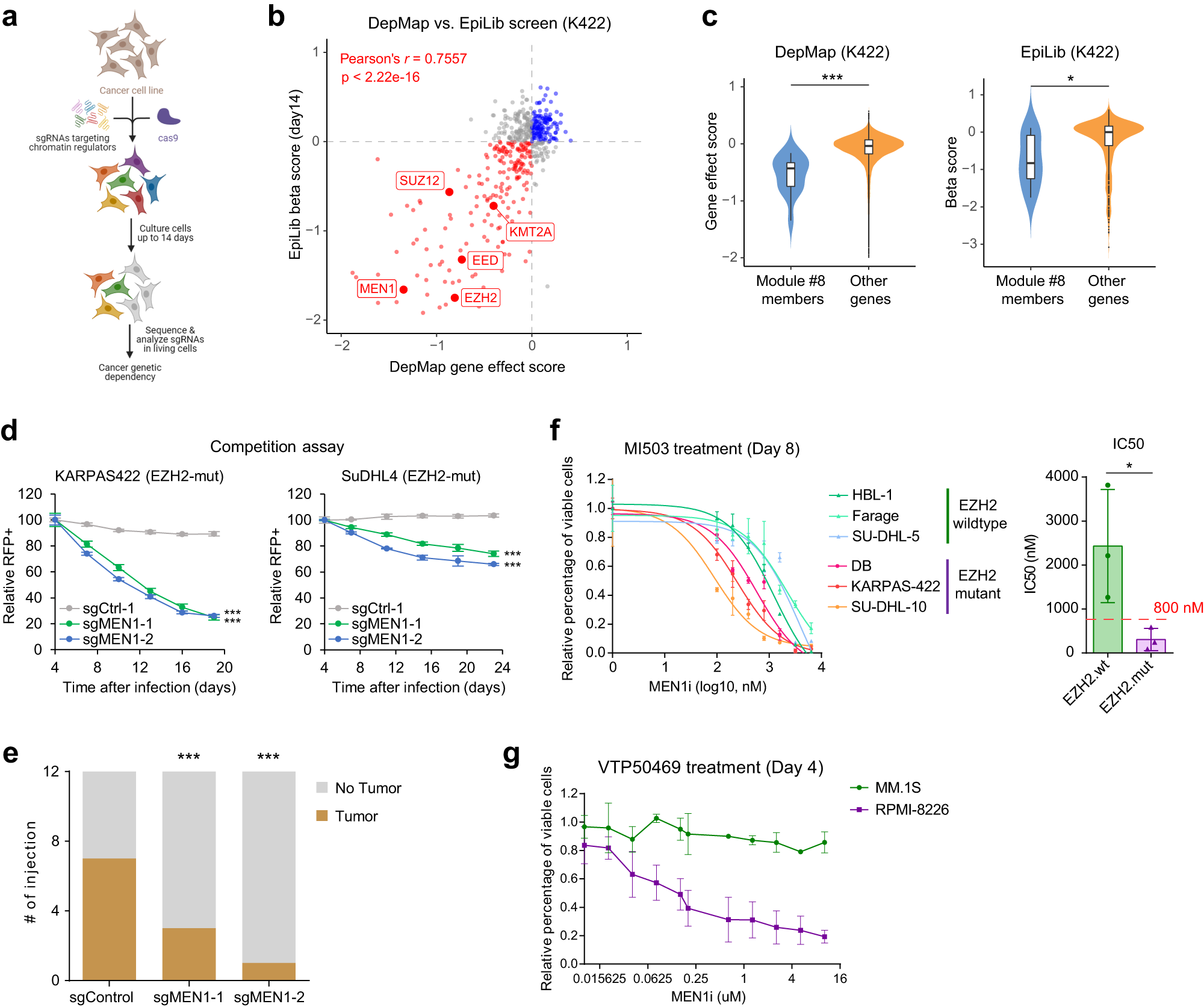 Fig. 3: CRISPR-Cas9 essentiality screens reveal preferential dependency of MLL–MEN1 in EZH2-mutated DLBCL.