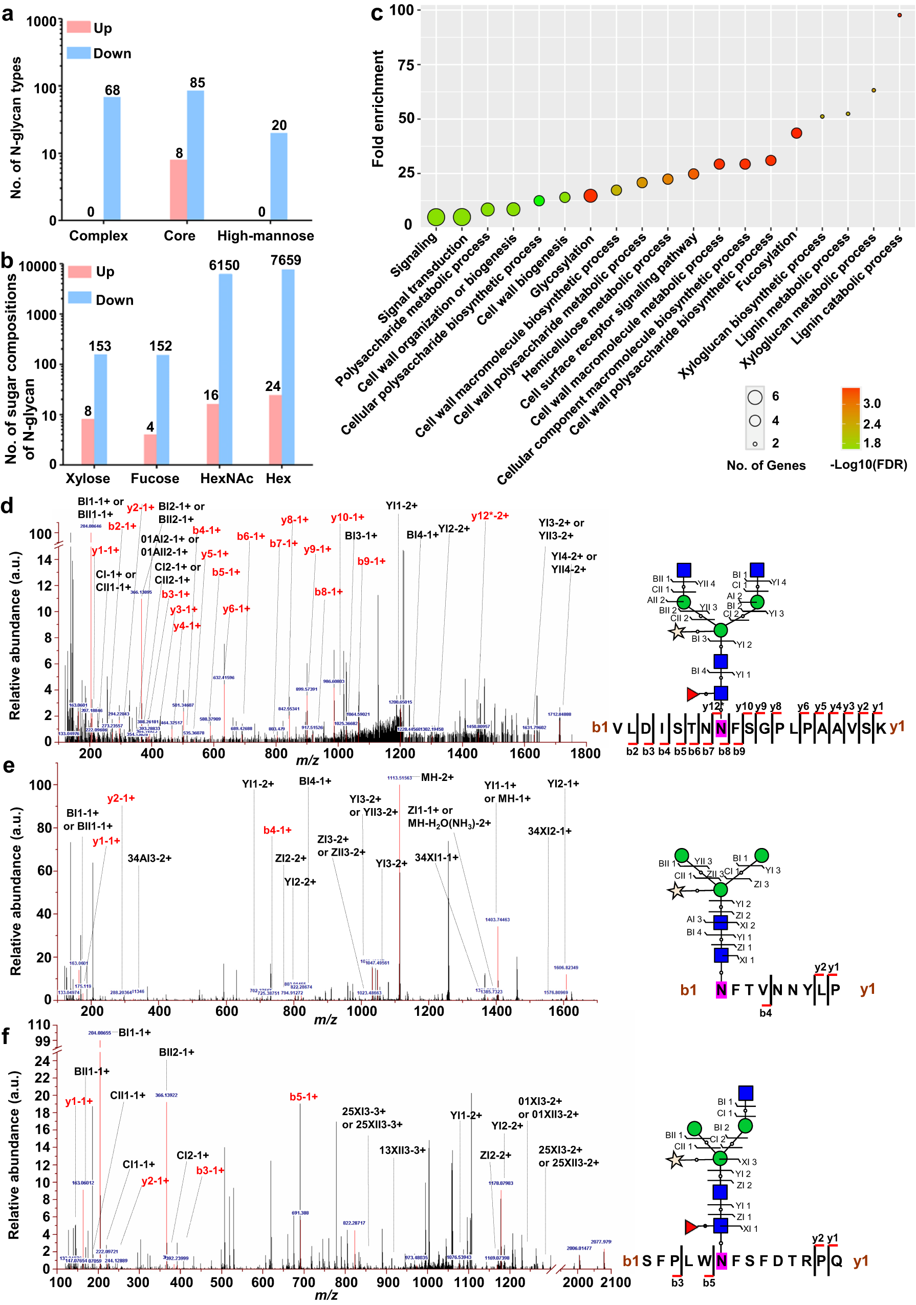 Fig. 5: Glycoproteomics analysis identifies altered glycosylation in bzu3 mutants.