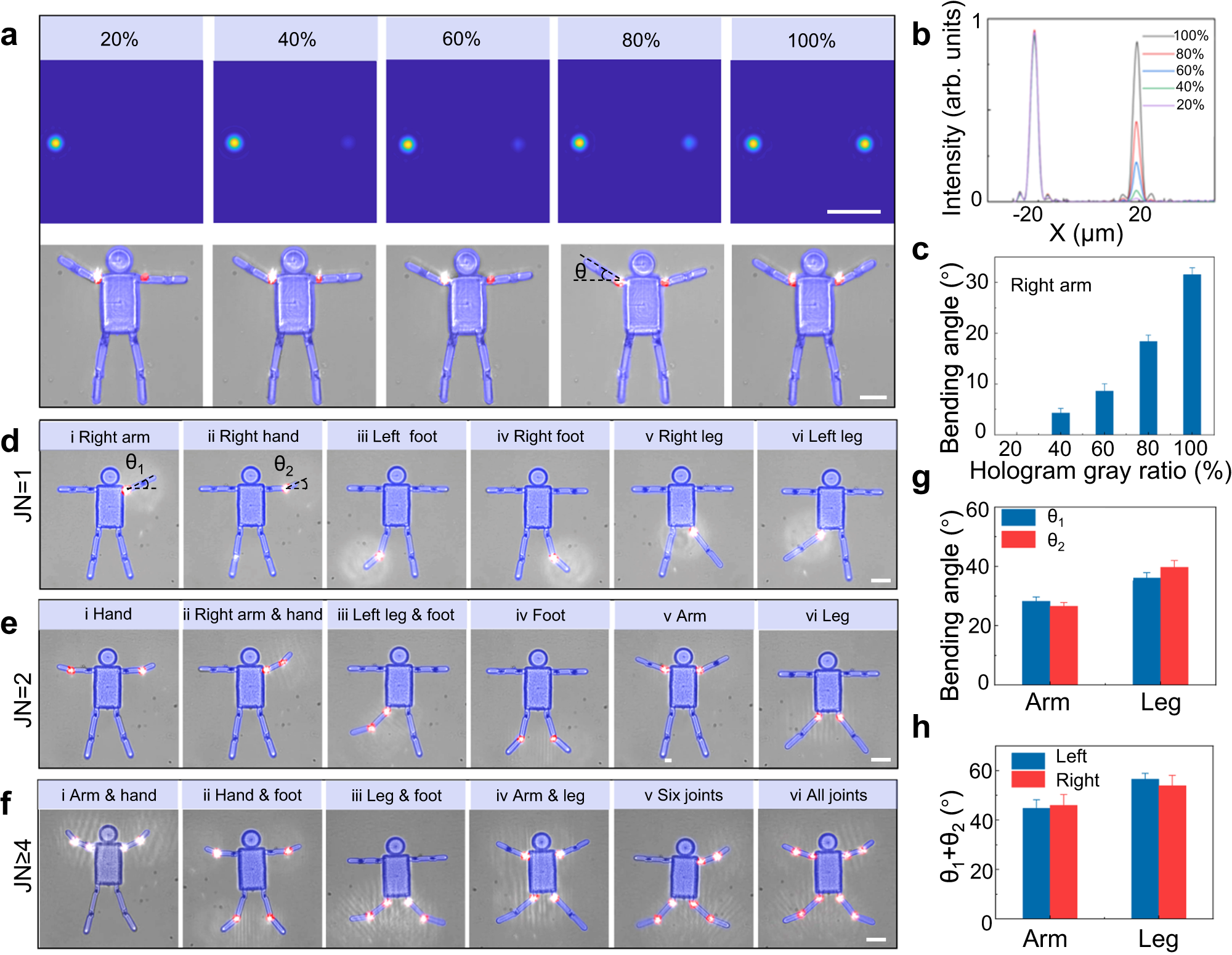 Fig. 3: Multi-joint linkage deformation of a humanoid multi-joint microactuator (MJMA).