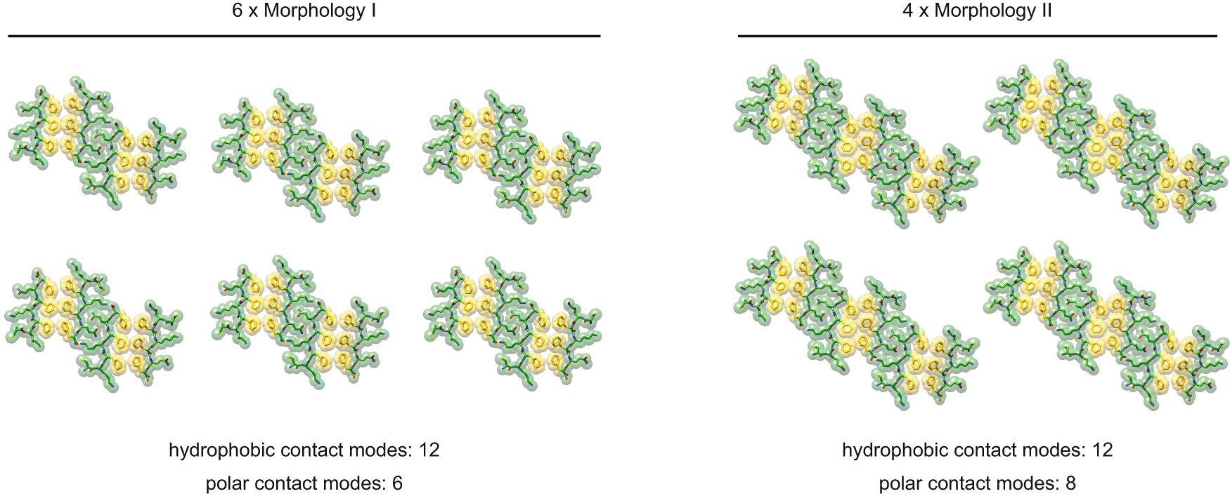 Fig. 6: Energetic benefit of the formation of broader fibrils.