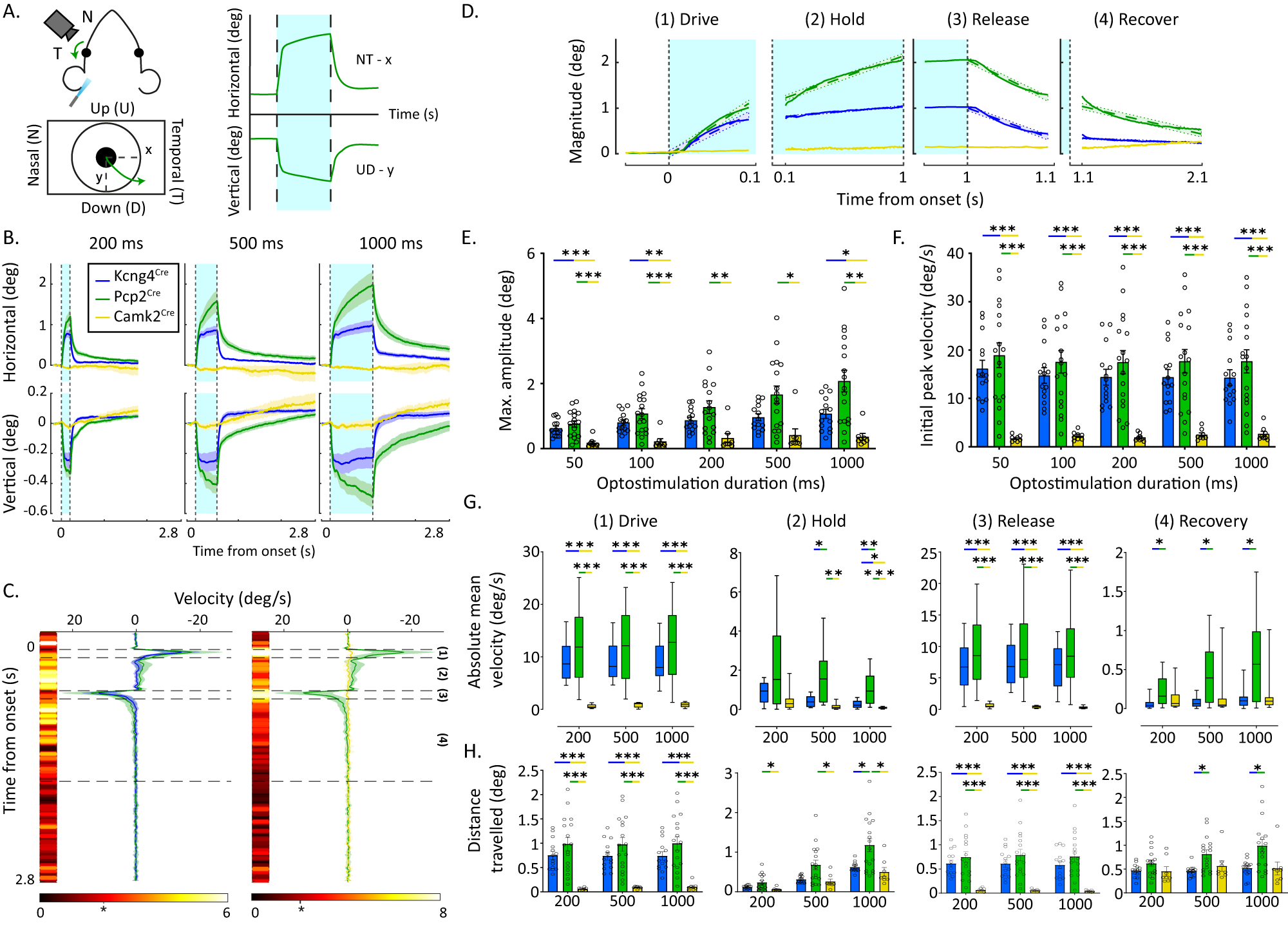 Fig. 5: Selective optogenetic stimulation of the 9+ and 9− PC subpopulations drives distinct kinematics.