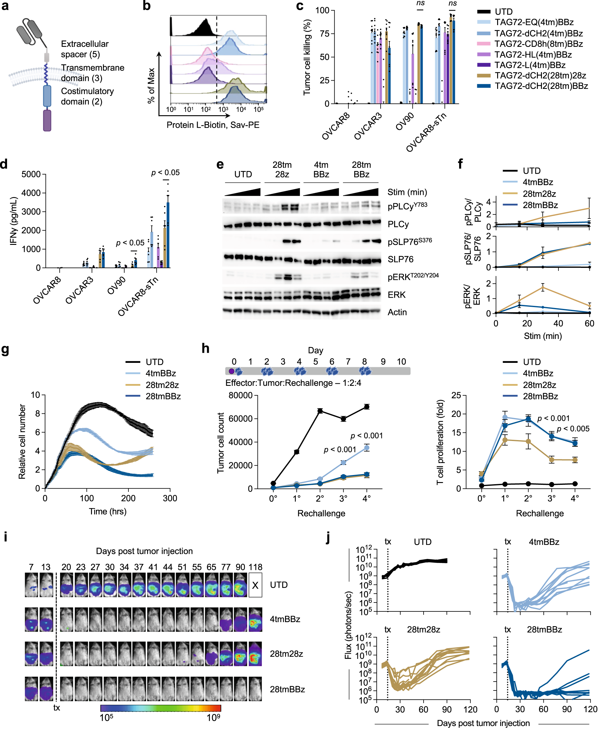 GPC2-CAR T cells tuned for low antigen density mediate potent