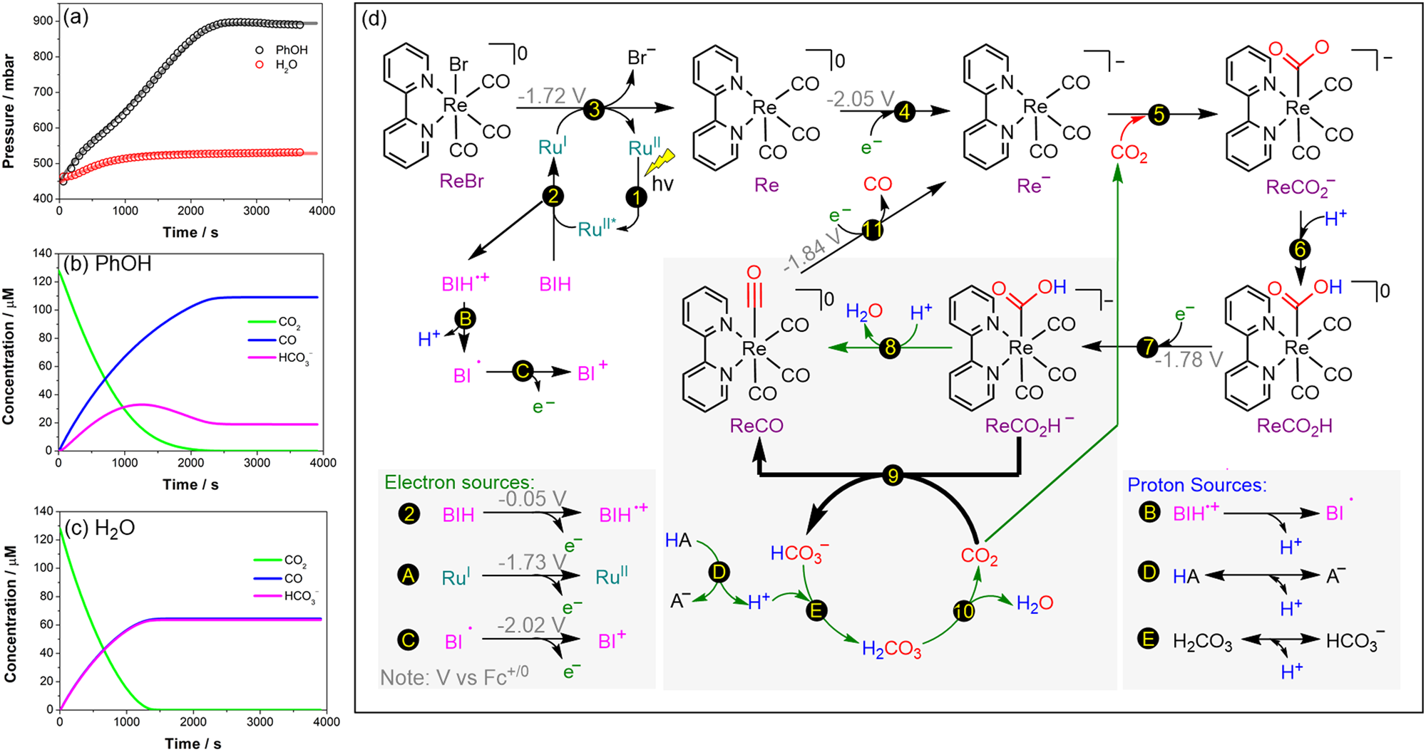 Fig. 3: Mechanistic investigation.