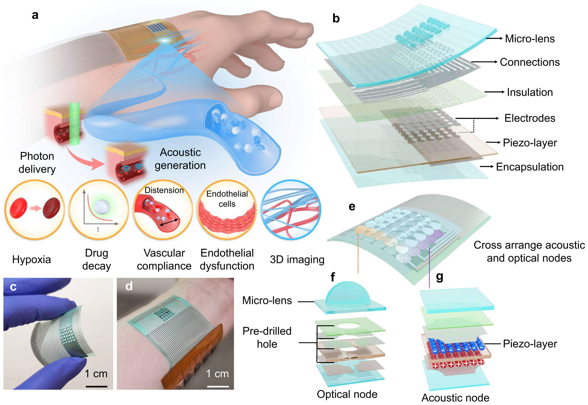 Engineering a Solution to a Skin-Deep Problem of Blood Oxygen Measurements