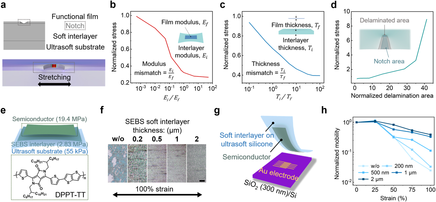 Fig. 2: Mechanical effect of the soft interlayer design in significantly improving the stretchability of functional layers on a much softer substrate.