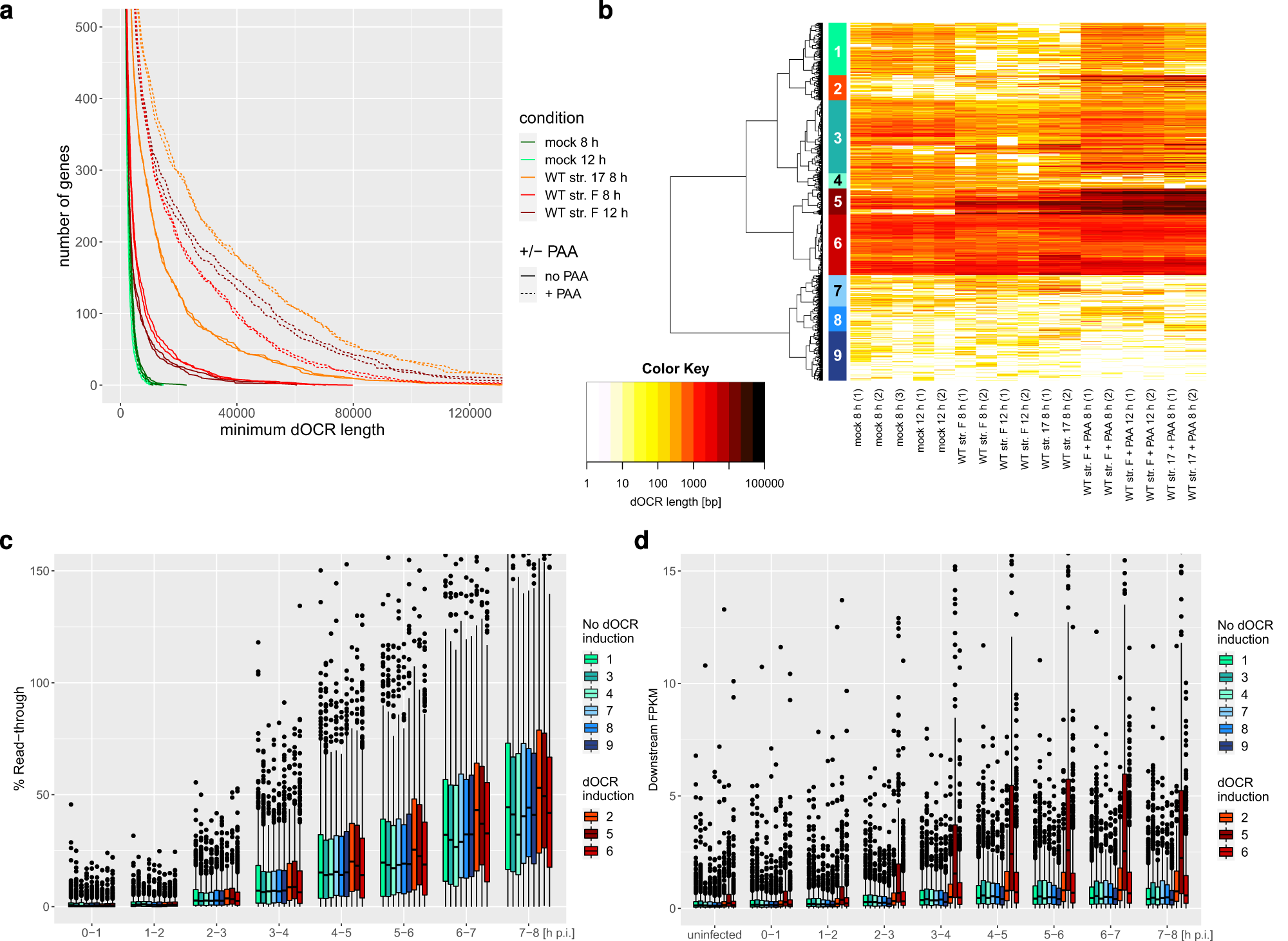 Fig. 1: Induction of dOCRs in HSV-1 infection is associated with downstream transcriptional activity.