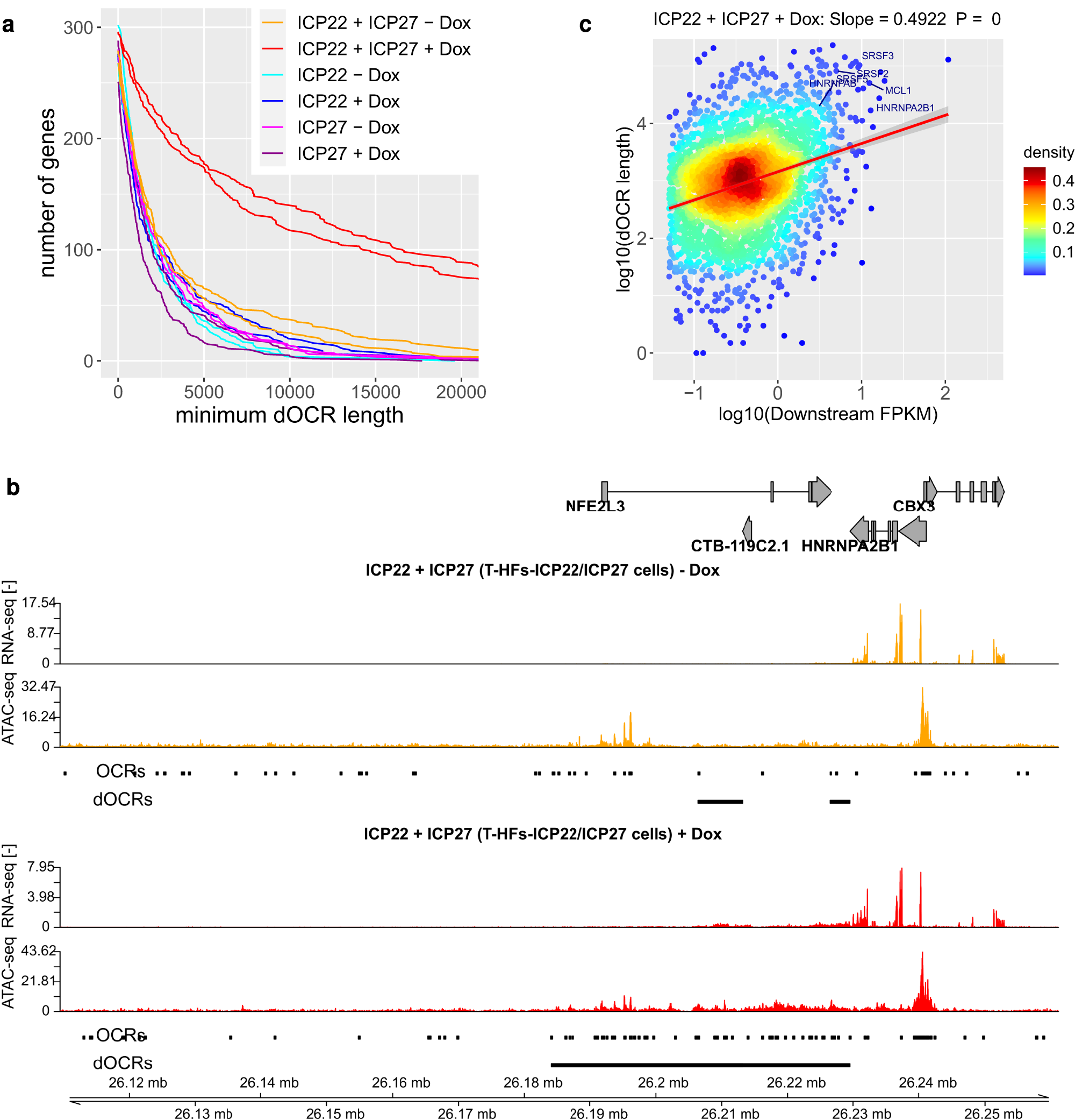 Fig. 3: ICP22 is sufficient to induce dOCRs upon ICP27-induced read-through transcription.