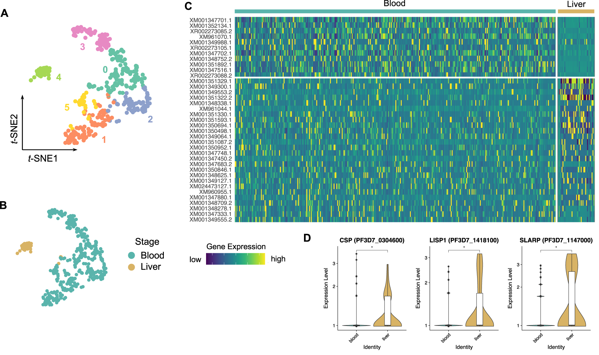Fig. 4: Single-cell transcriptomics shows Pf-liver stage-specific gene-expression pattern.