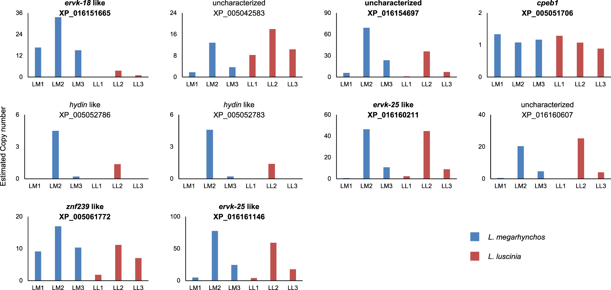 Fig. 7: Estimated copy number of the 10 GRC genes with at least 95% of their coding region found in both nightingale species.