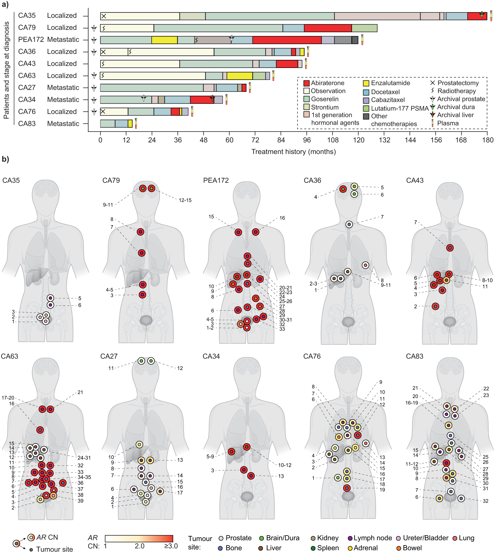 Copy number architectures define treatment-mediated selection of lethal  prostate cancer clones