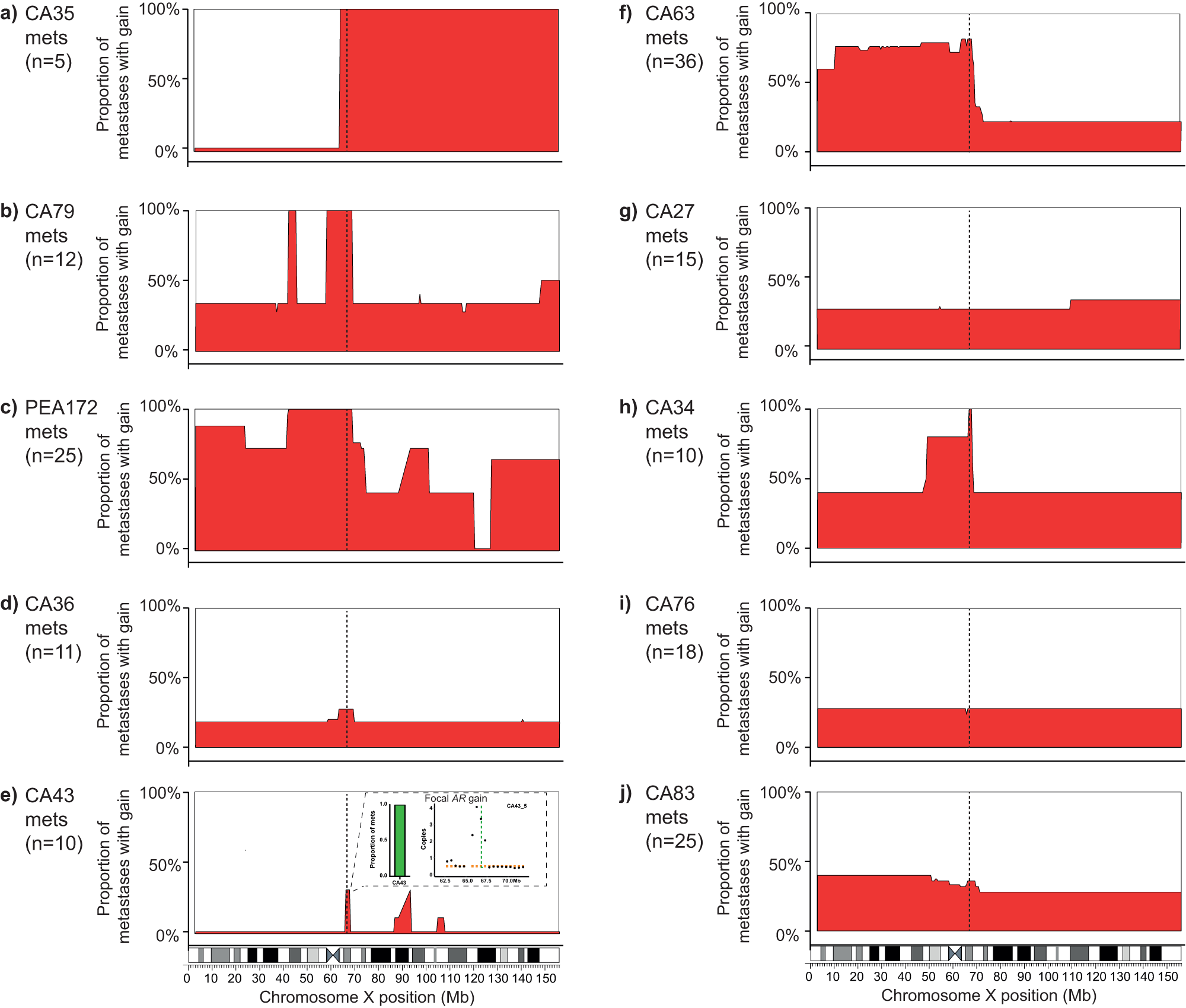 Fig. 2: Chromosome X architecture captures intra- and inter-patient diversity.
