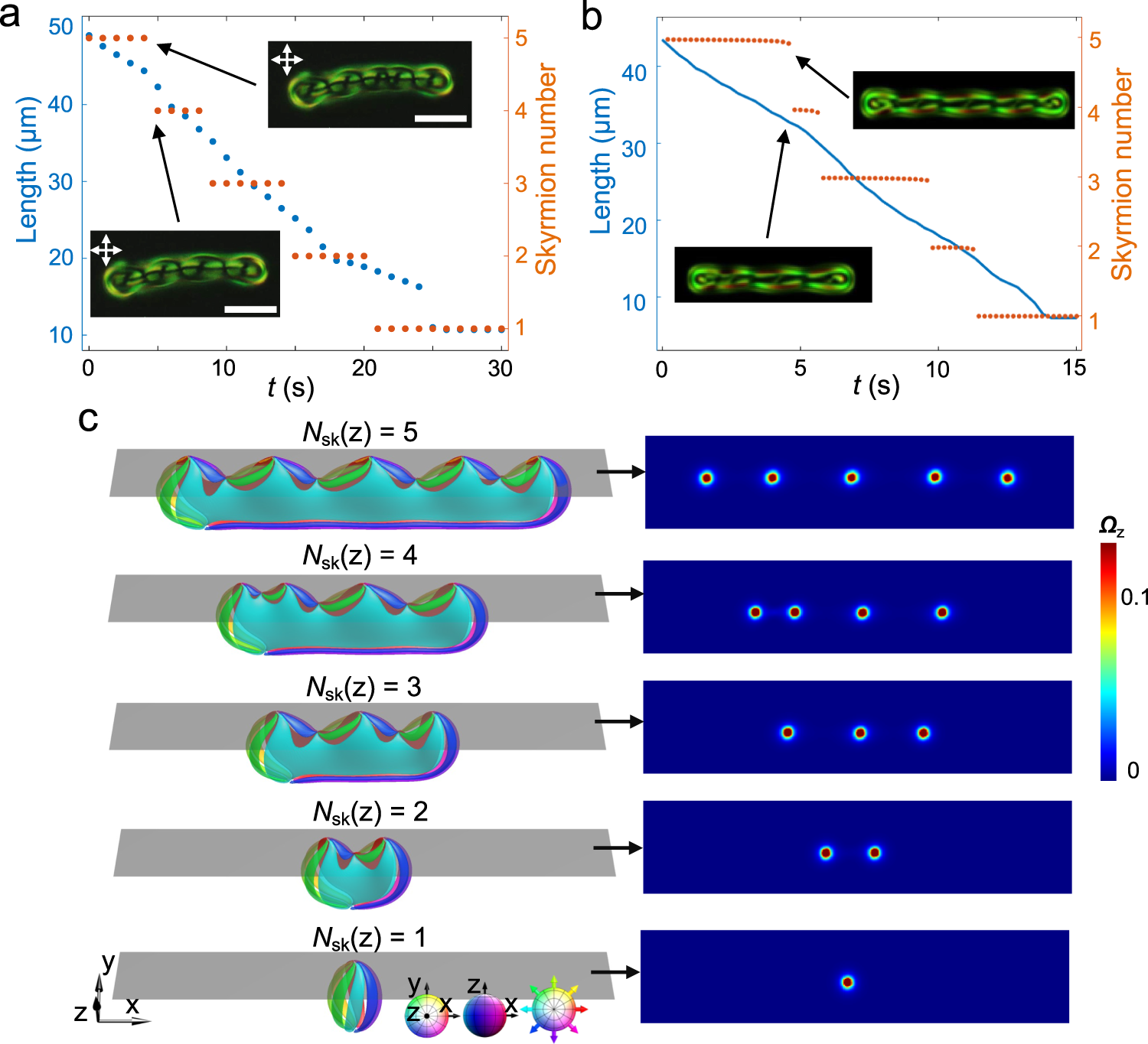 Fig. 10: The order annihilation process.