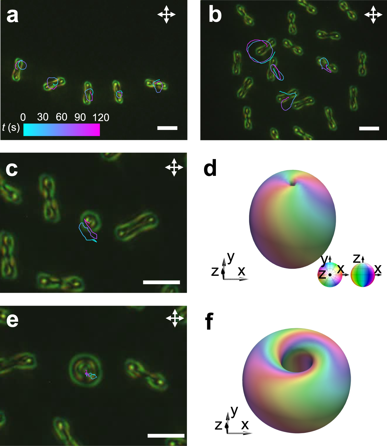 Fig. 7: The interaction of polyskyrmionomers with other solitons.