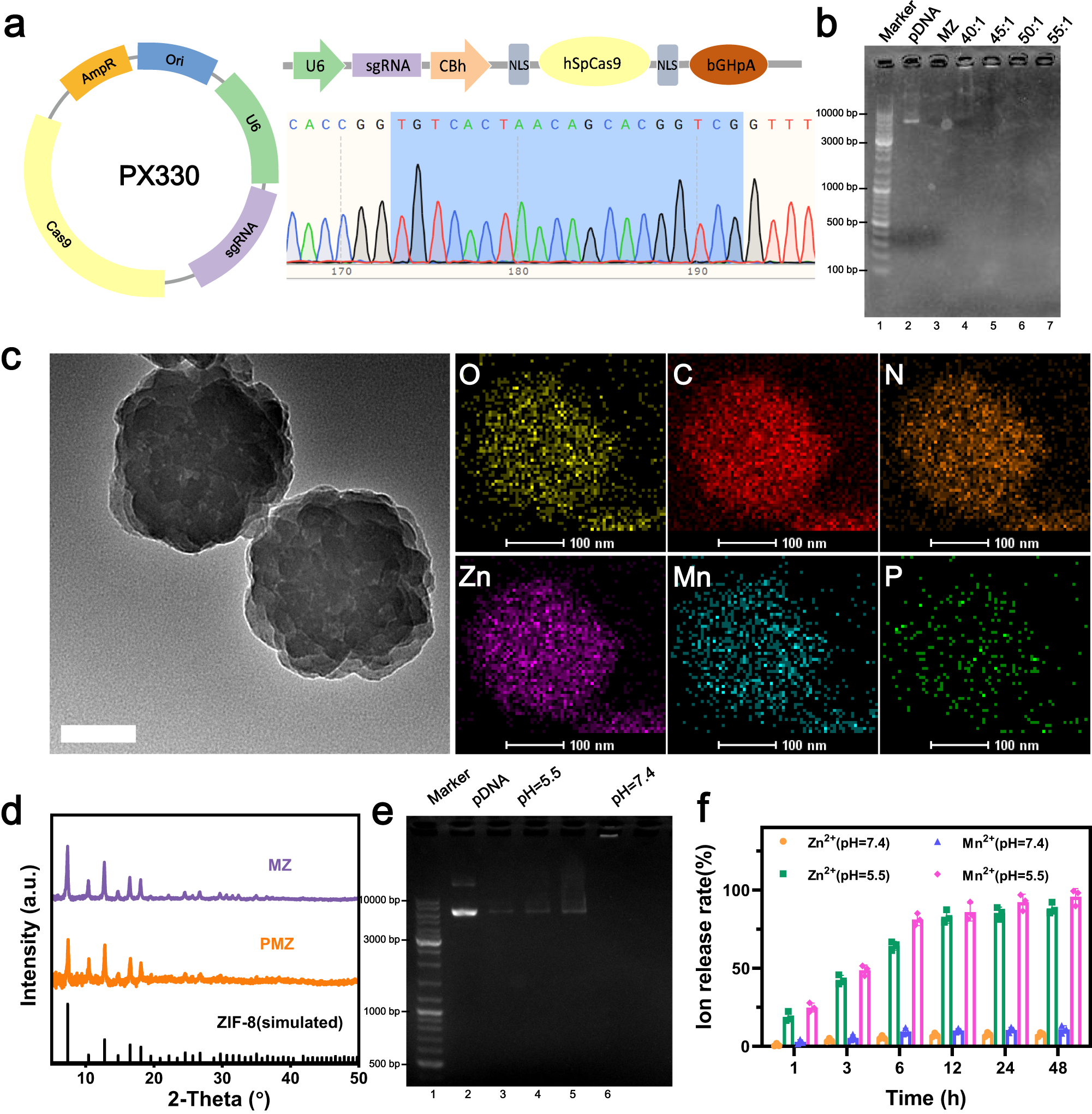 Fig. 2: Construction and characterization of PMZH.