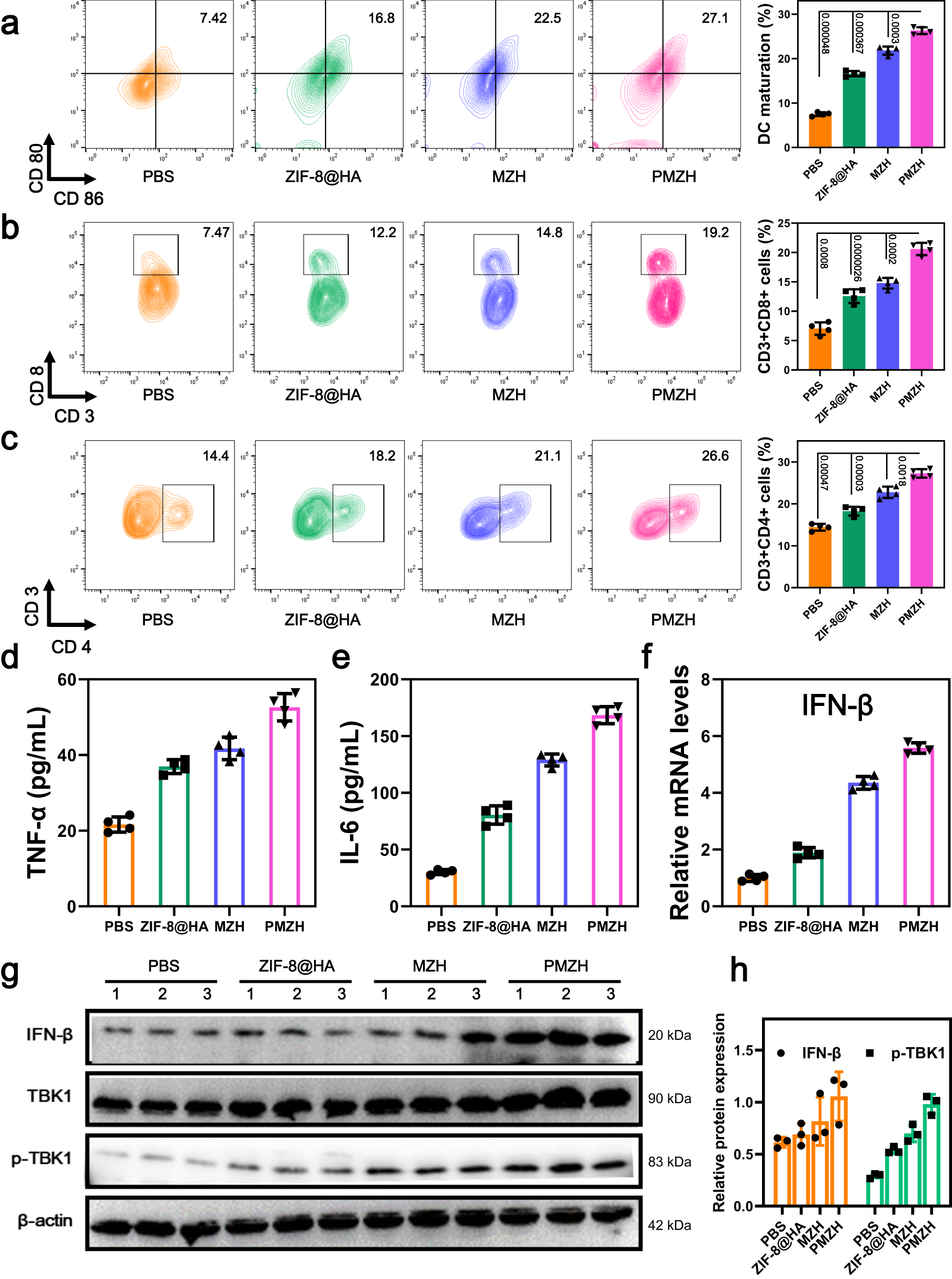 Fig. 7: Immunity therapy of PMZH.