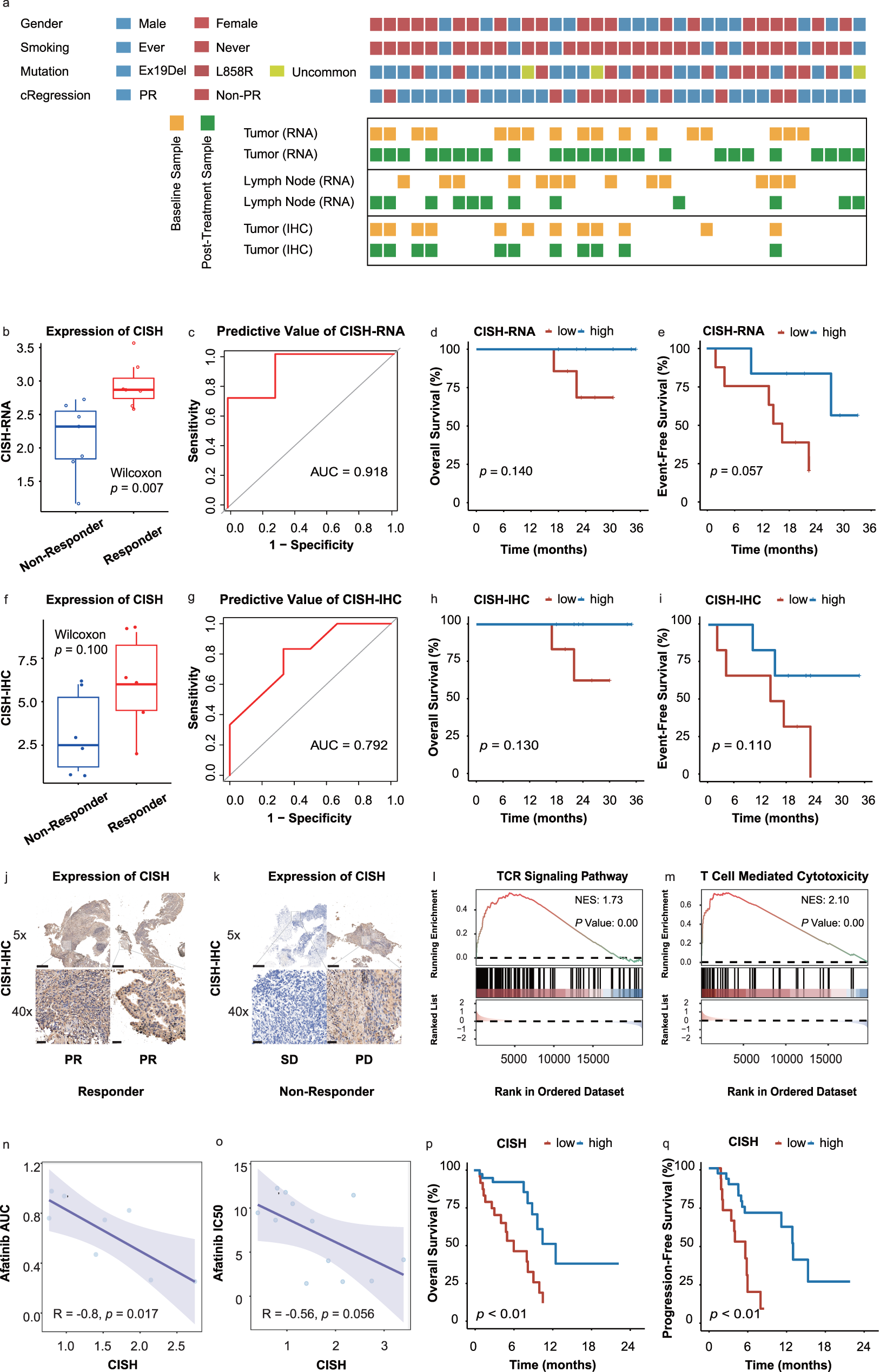 Fig. 4: The biomarker of therapeutic efficacy in pre-treatment tumor samples.