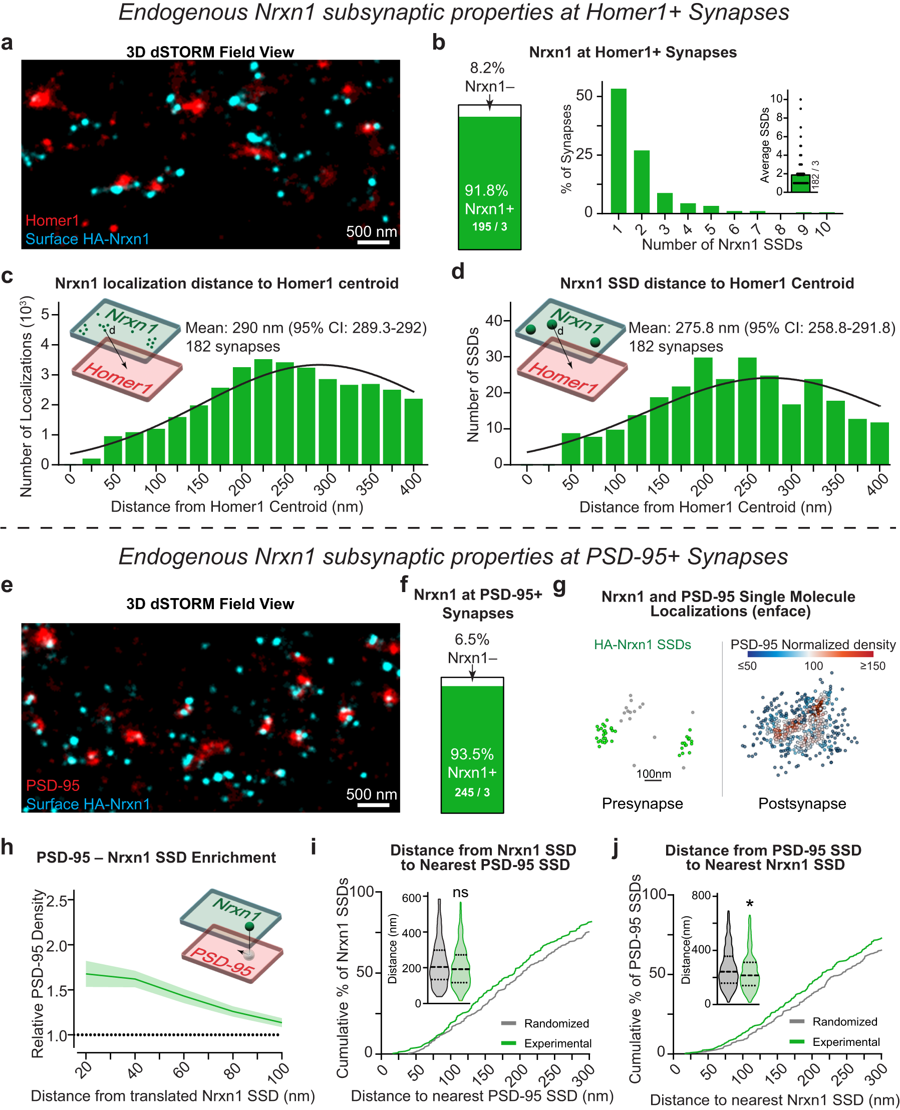 Fig. 6: Endogenous neurexin-1 organizes near the periphery of synapses and synaptic nanocolumns.