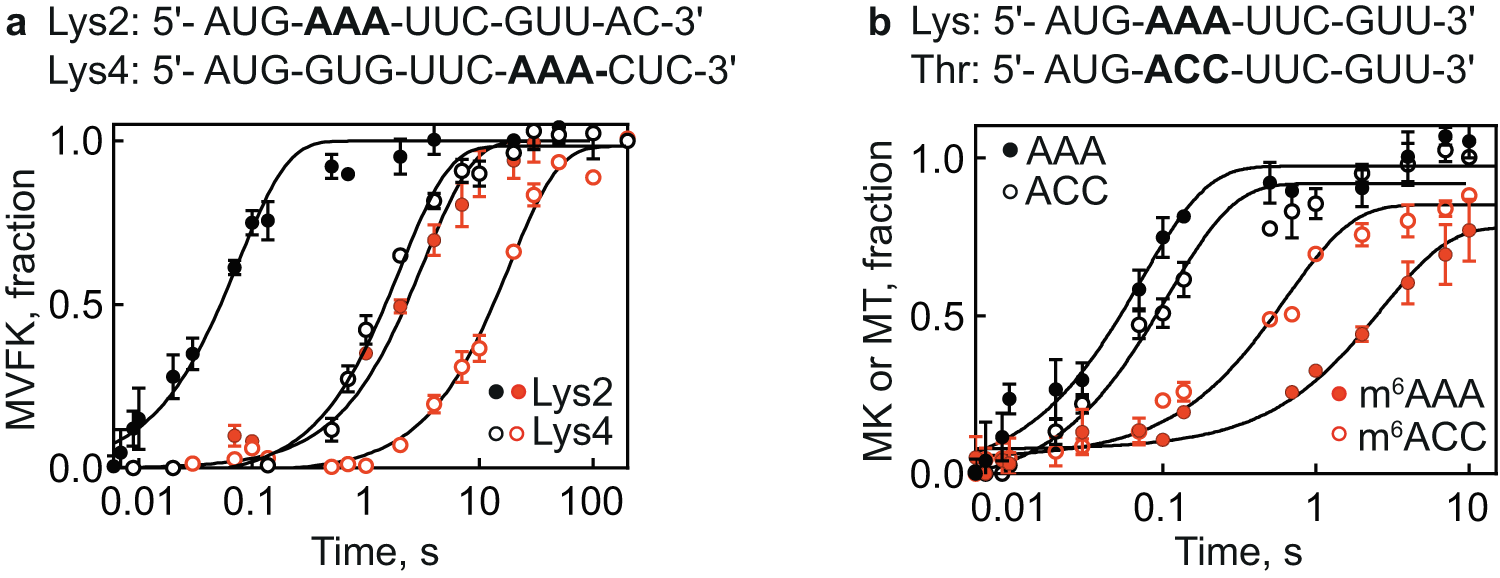 Fig. 2: m6A position in the mRNA and codon identity modulates extent of translation delay.