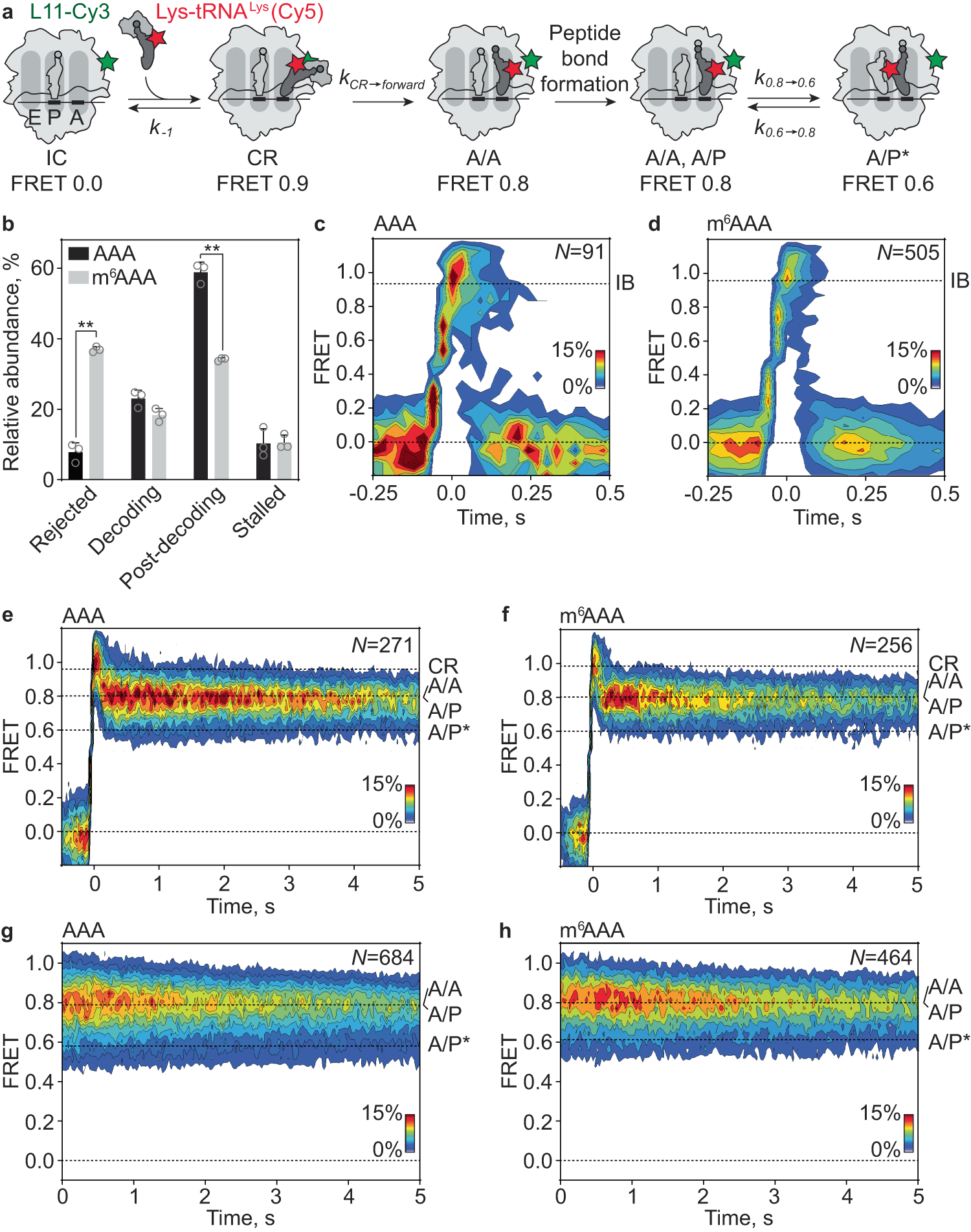 Fig. 4: Decoding of AAA and m6AAA monitored by smFRET.