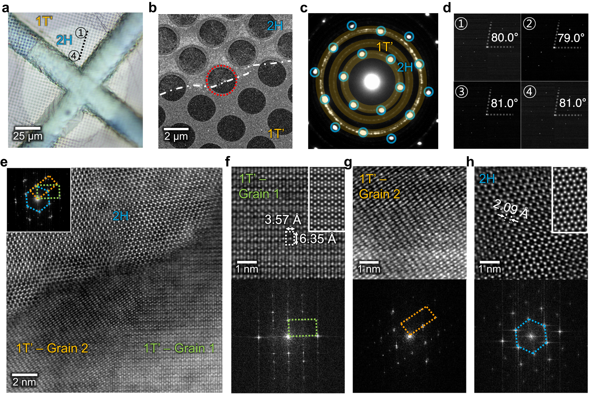 Fig. 2: Transmission electron microscopy (TEM) analysis of the abnormal grain growth of MoTe2 accompanied by the phase transition.