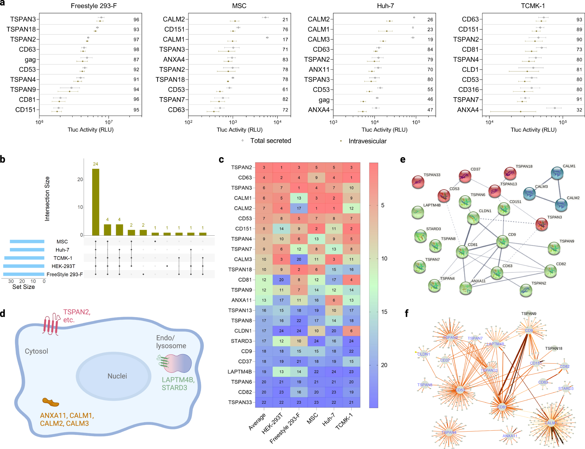 Fig. 3: EV-sorting ability of candidate proteins in various cell sources.