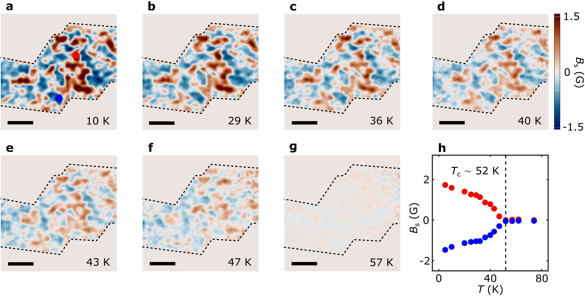 Fig. 3: Temperature dependence of twisted magnetism.