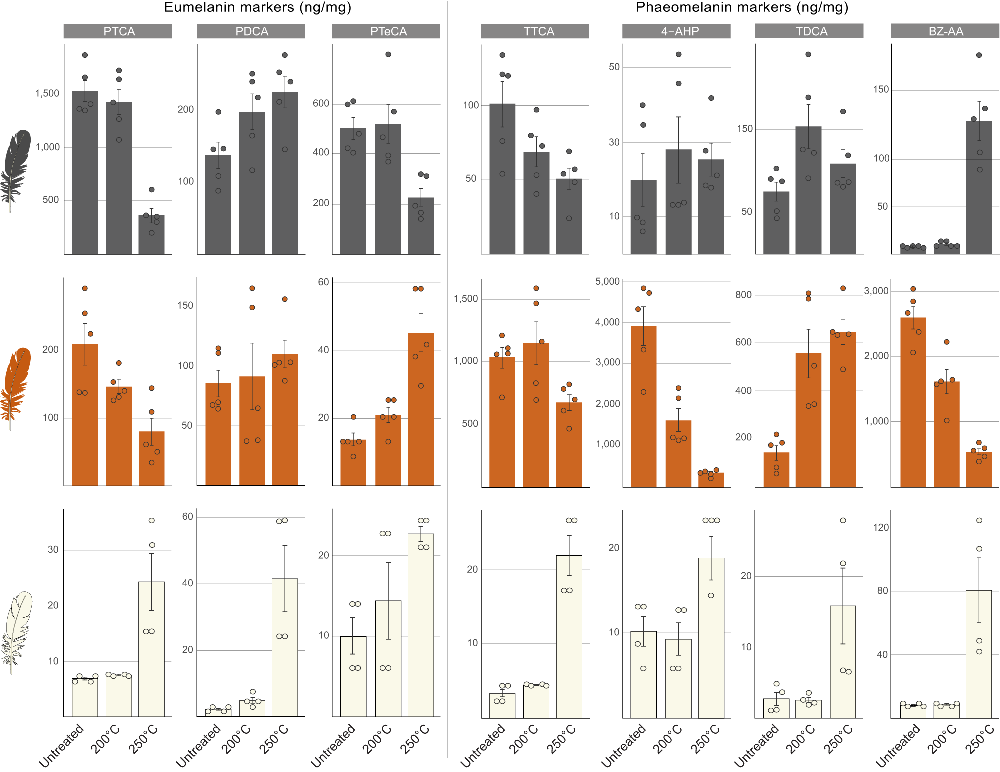 Fig. 2: AHPO-HPLC data for black, rufous and white feathers from extant birds with, and without, thermal treatment.
