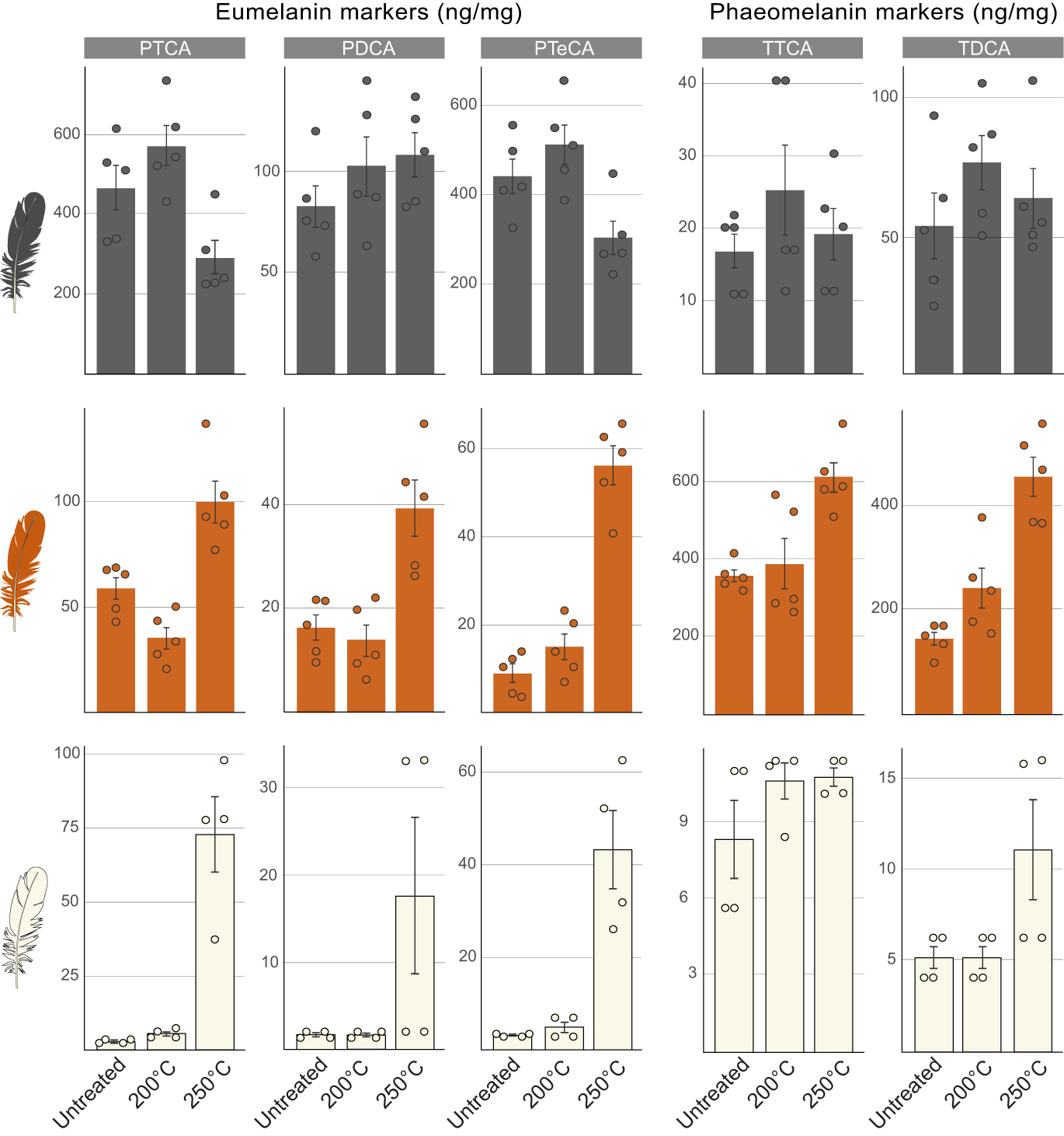 Fig. 3: HCl-AHPO-HPLC data for black, rufous and white feathers from extant birds with, and without, thermal treatment.