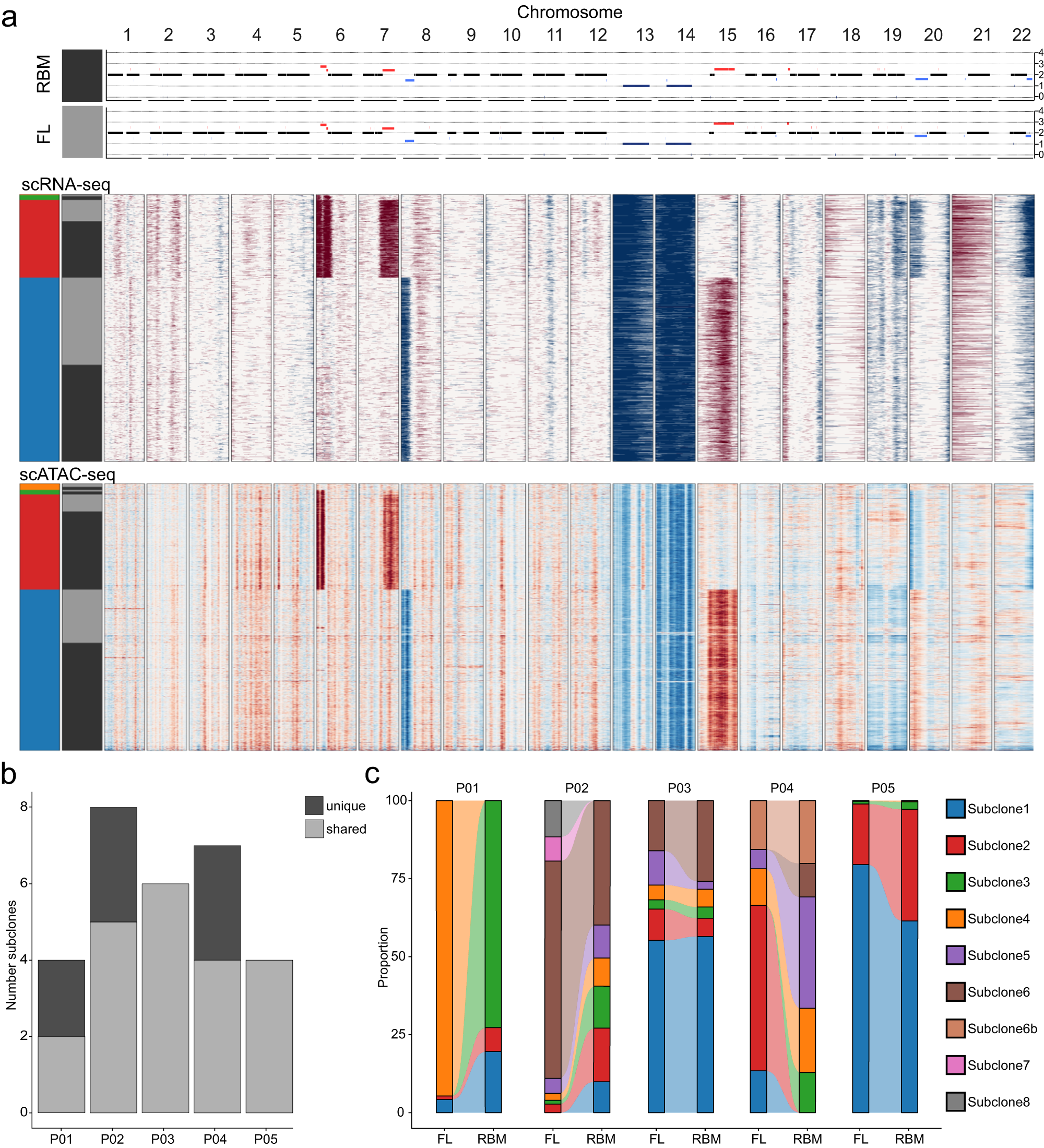 Fig. 2: The spatial subclonal architecture.