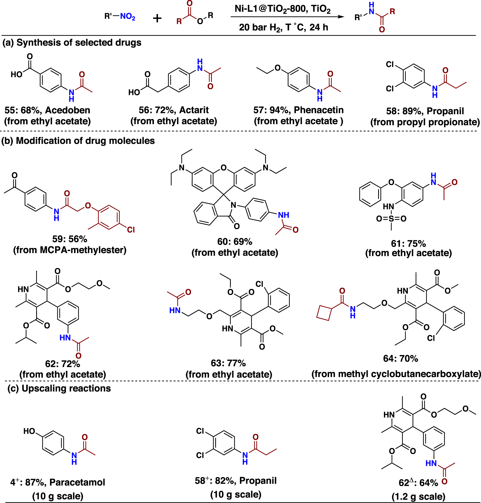 Fig. 9: Applications of nickel-catalysed amidation.