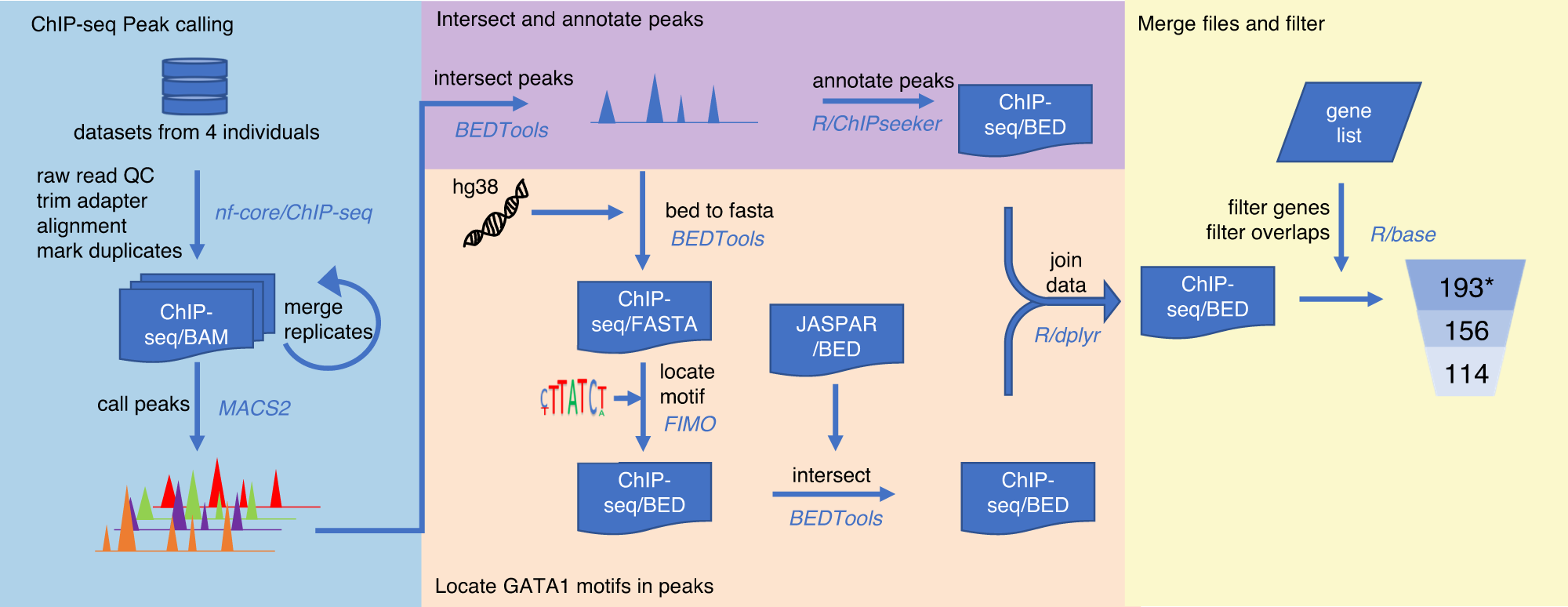 Fig. 1: Analysis pipeline of four GATA1 ChIP-seq datasets on primary erythroblasts.