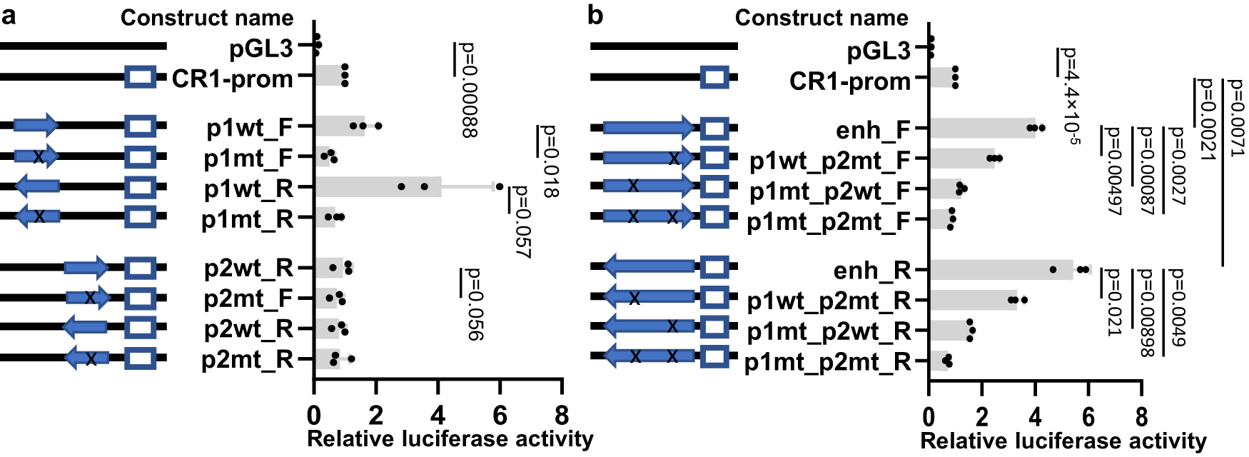 Fig. 3: Motif 1 or a combination of motifs 1 and 2 enhanced expression in a luciferase assay.