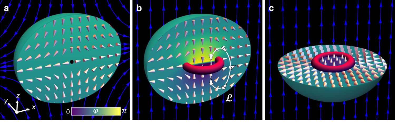 Bubble ring - Wikipedia