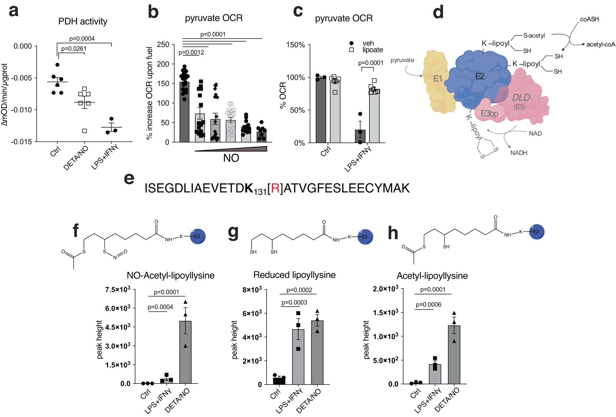 Pyruvate dehydrogenase operates as an intramolecular nitroxyl generator  during macrophage metabolic reprogramming | Nature Communications