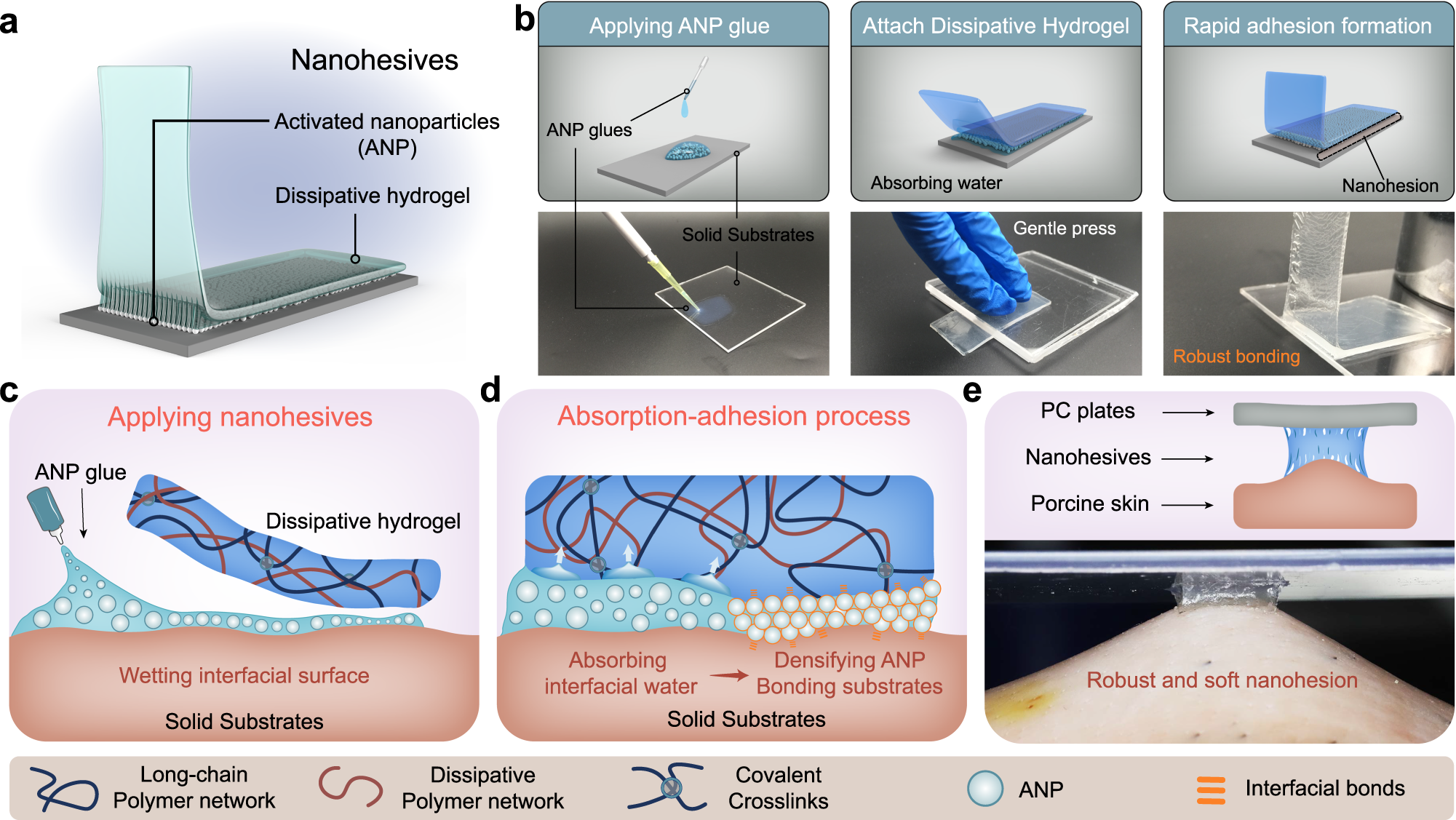 Medical grade adhesives for the controlled release of active ingredients