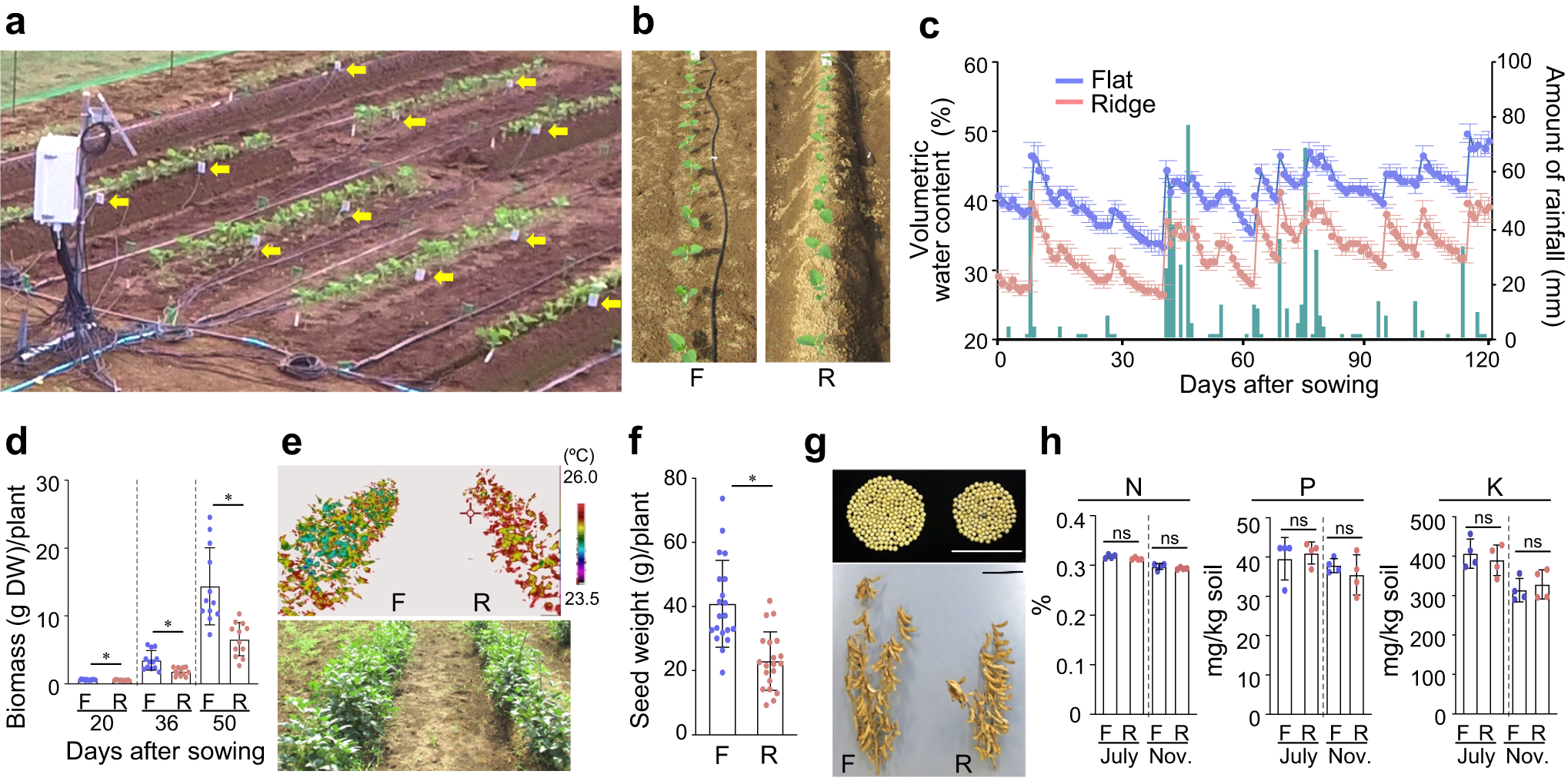 Phosphate starvation response precedes abscisic acid response under  progressive mild drought in plants | Nature Communications
