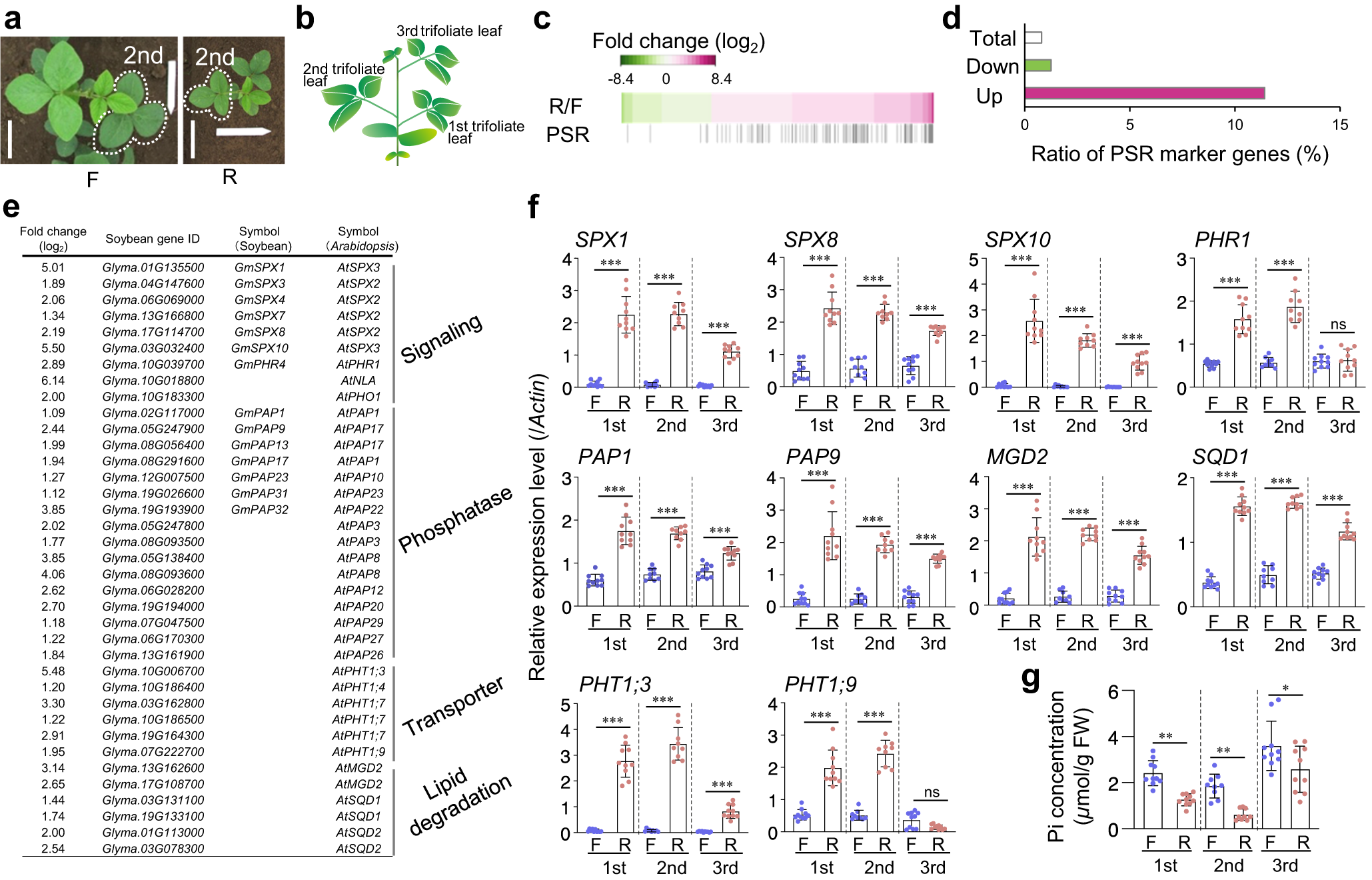 Fig. 3: Mild drought induces PSR in field-grown soybean plants.