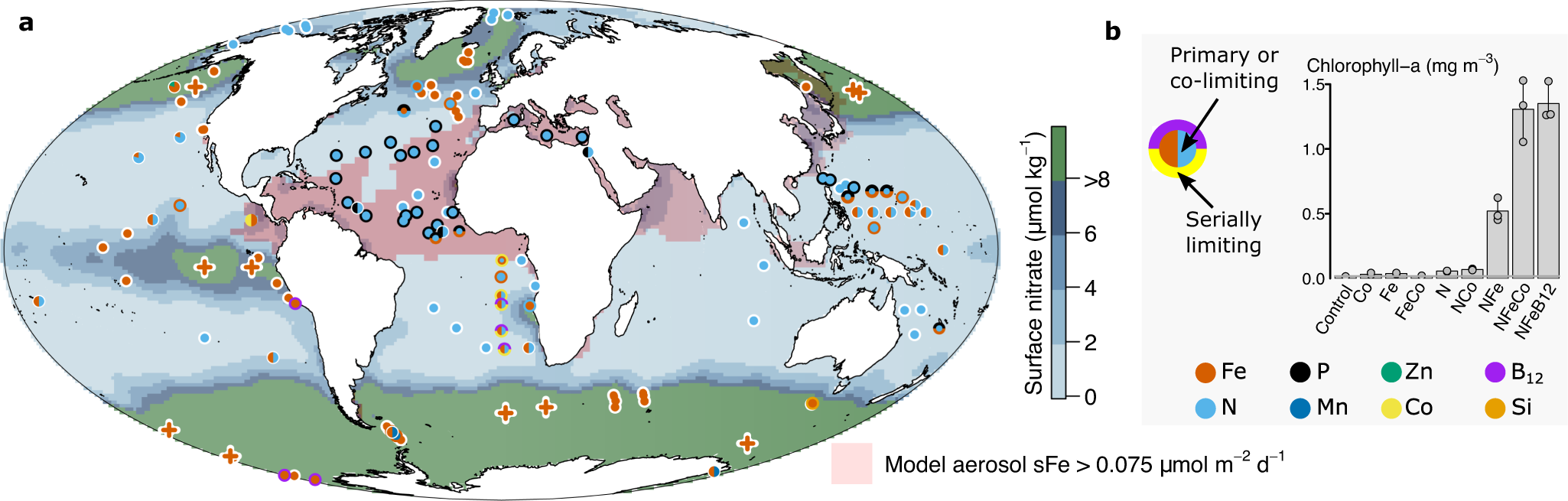 Global analysis of ocean phytoplankton nutrient limitation reveals 