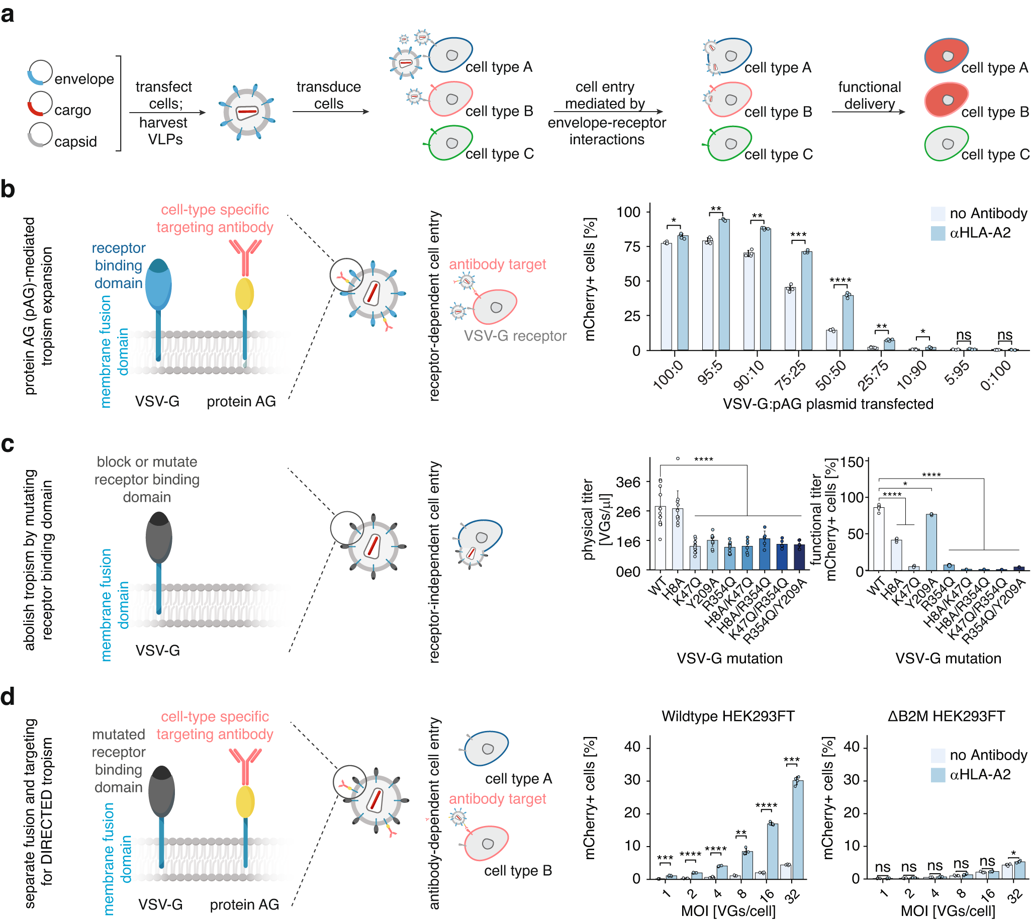 Fig. 1: Development of DIRECTED.