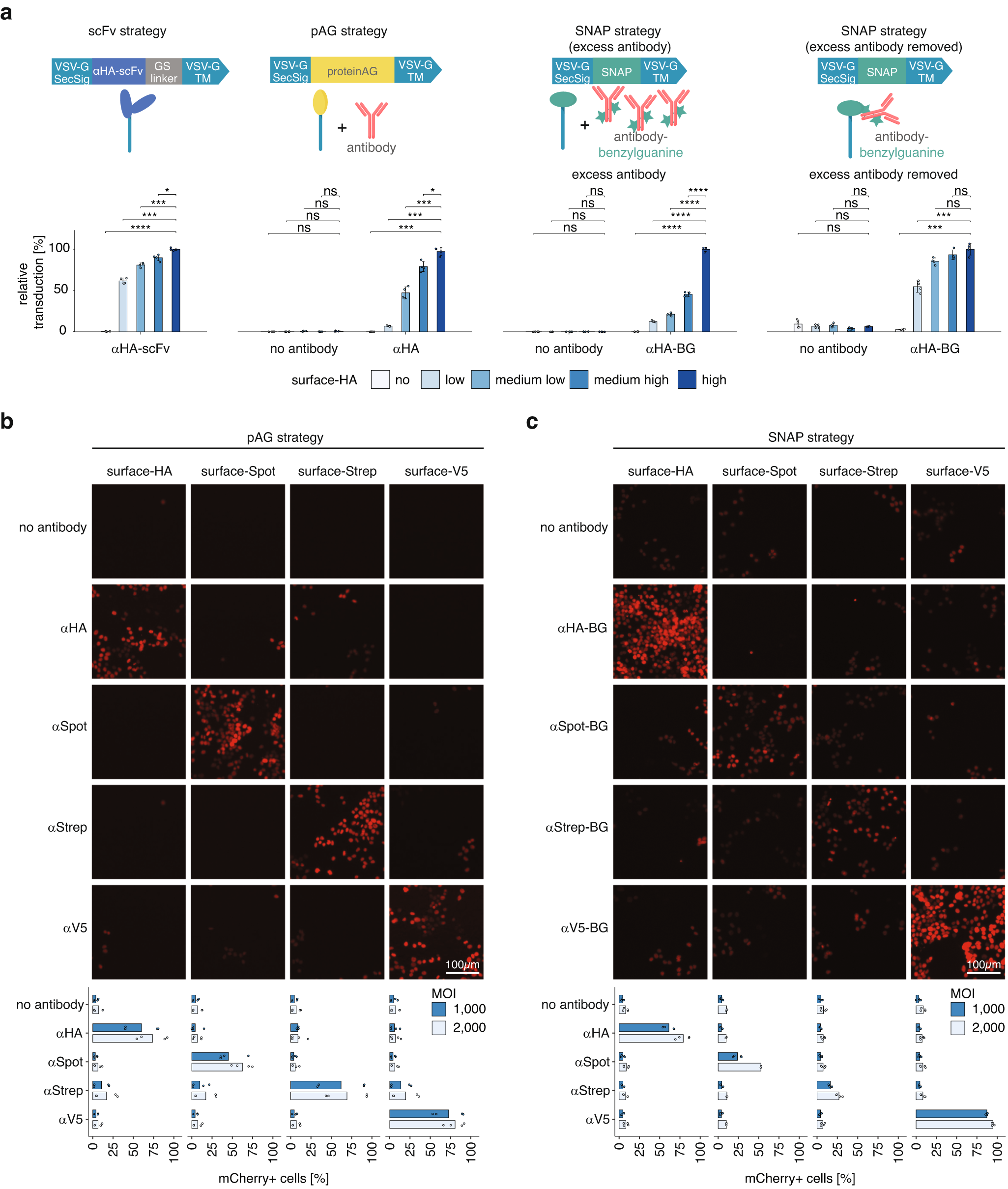 Fig. 3: Targeting strategies and specificity of DIRECTED.
