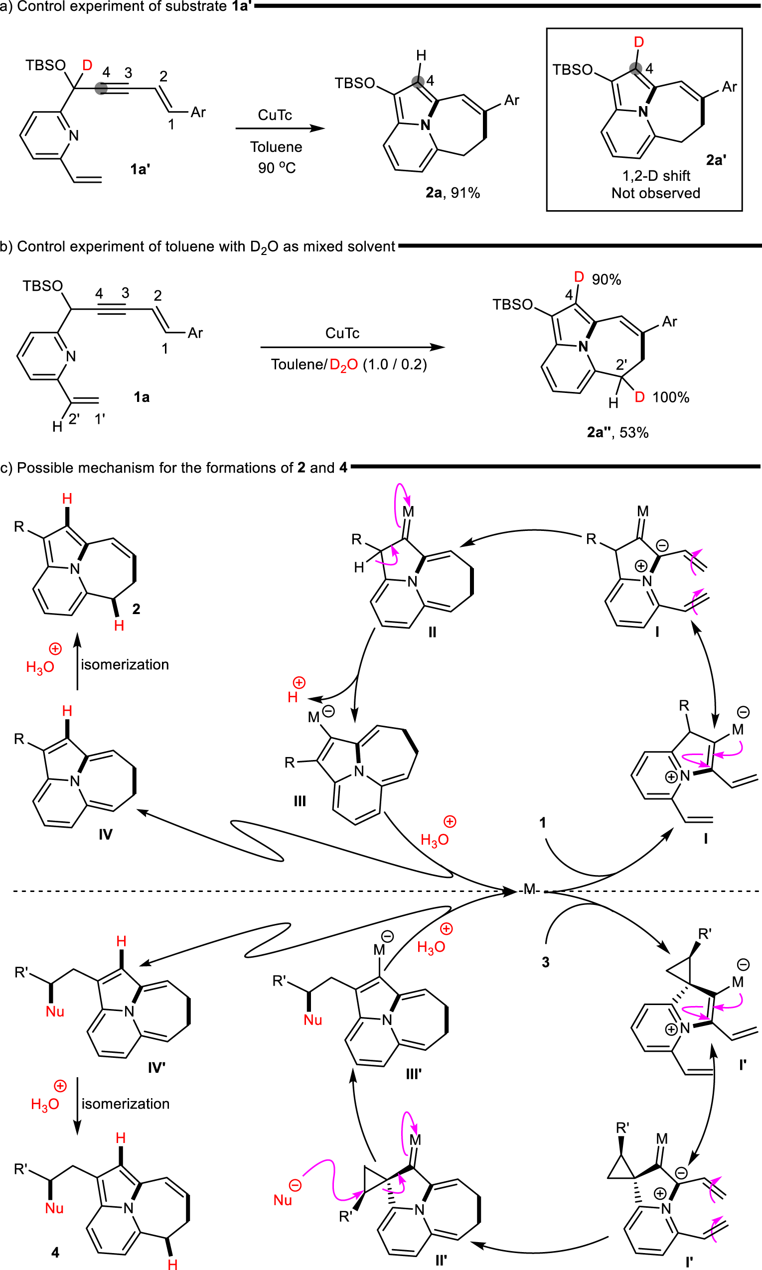 Fig. 6: Control experiments and possible mechanism.