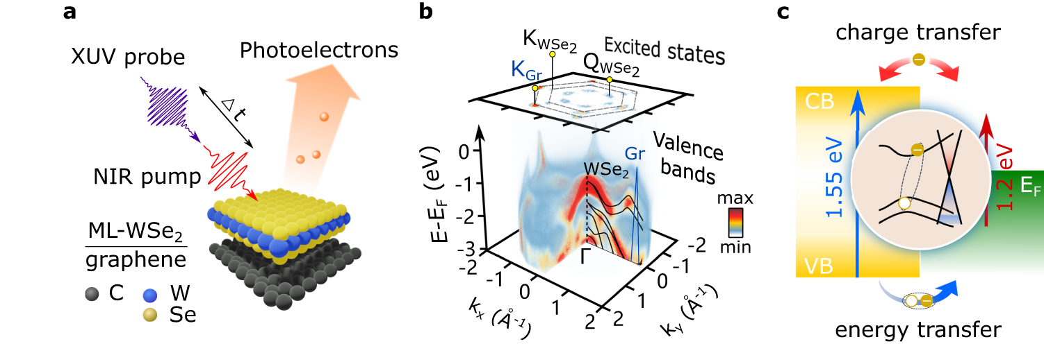 Fig. 1: Time- and angle-resolved photoemission measurement of interlayer charge and energy transfer in a ML-WSe2/graphene heterostructure.
